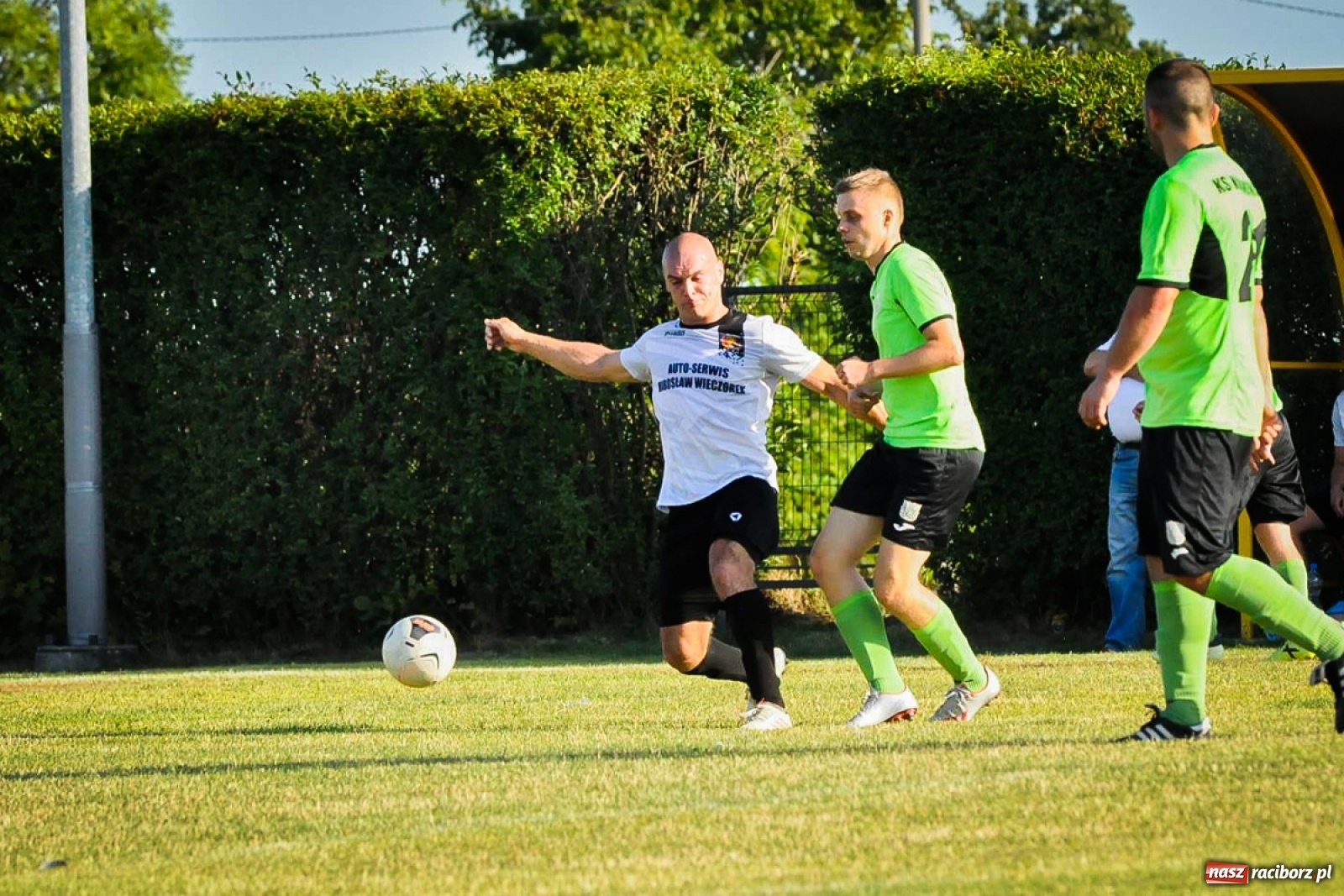 Zdjęcie w galerii na portalu naszraciborz.pl: Kobyla rozjechała sąsiadów z Kornowaca [FOTO i WIDEO] wiadomości z regionu