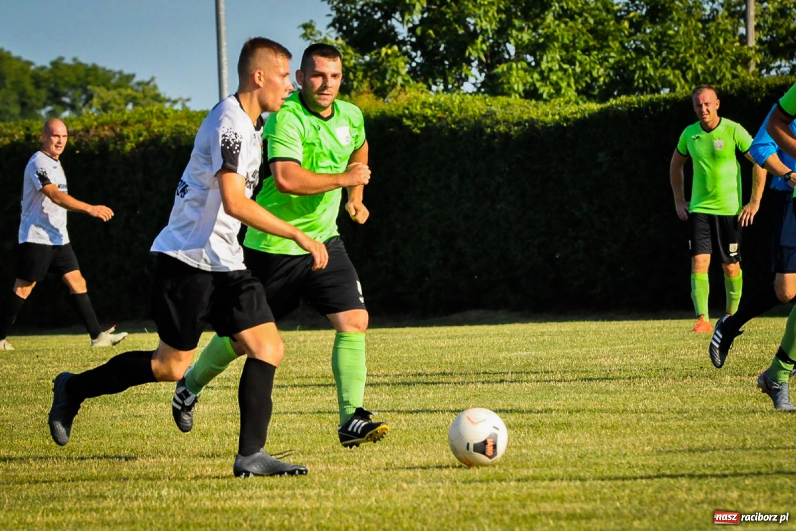 Zdjęcie w galerii na portalu naszraciborz.pl: Kobyla rozjechała sąsiadów z Kornowaca [FOTO i WIDEO] wiadomości z regionu