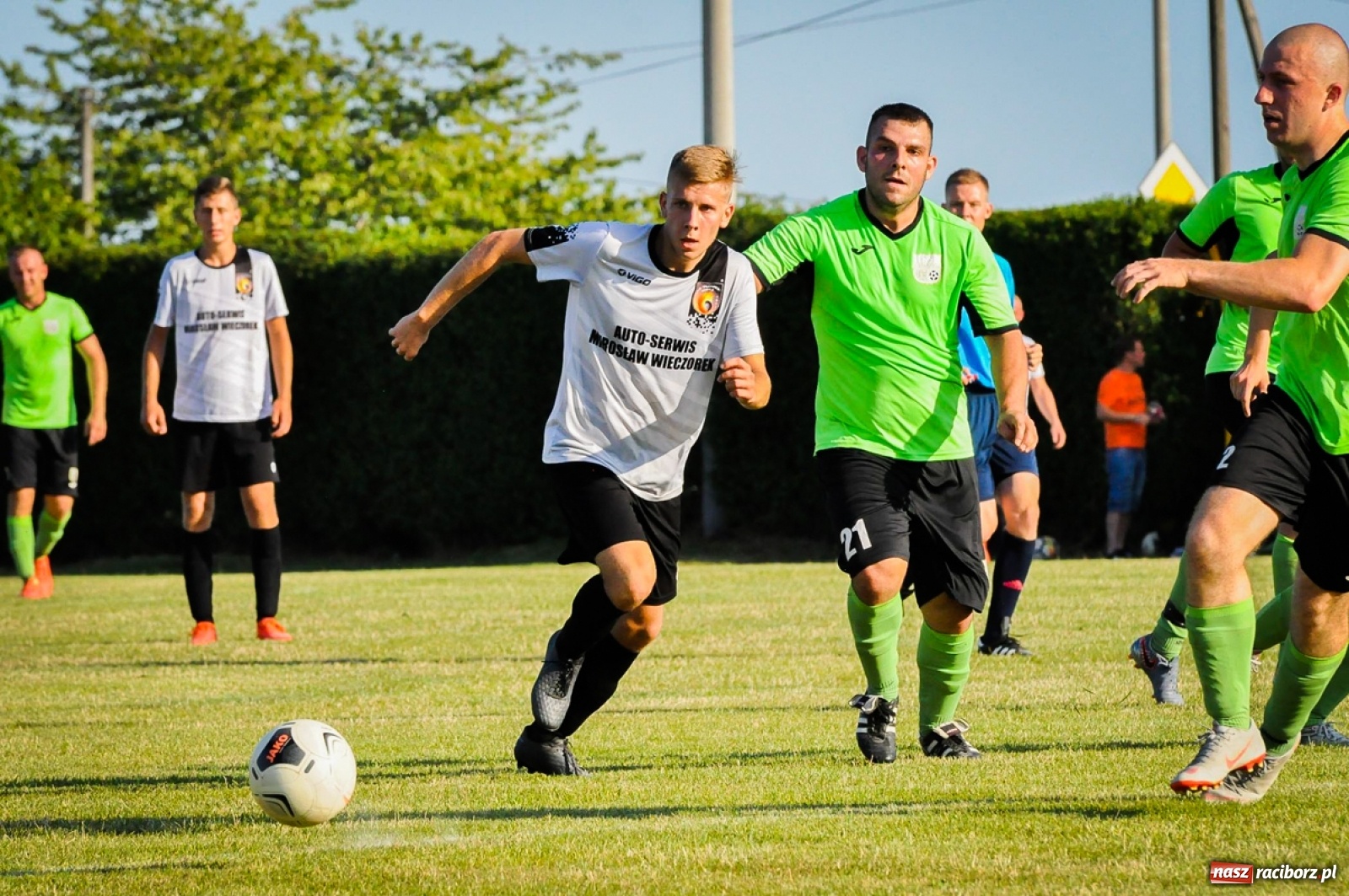 Zdjęcie w galerii na portalu naszraciborz.pl: Kobyla rozjechała sąsiadów z Kornowaca [FOTO i WIDEO] wiadomości z regionu