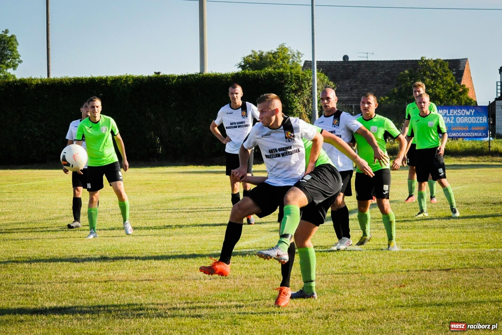 Zdjęcie w galerii na portalu naszraciborz.pl: Kobyla rozjechała sąsiadów z Kornowaca [FOTO i WIDEO] wiadomości z regionu