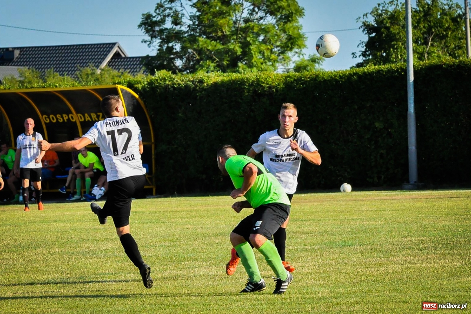 Zdjęcie w galerii na portalu naszraciborz.pl: Kobyla rozjechała sąsiadów z Kornowaca [FOTO i WIDEO] wiadomości z regionu