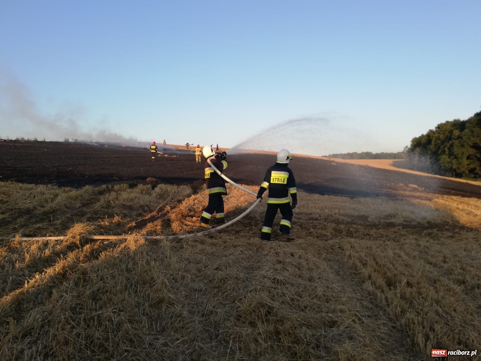 Zdjęcie w galerii na portalu naszraciborz.pl: Pożar ścierniska w Ponięcicach. To podpalenie! [FOTO i WIDEO] wiadomości z regionu