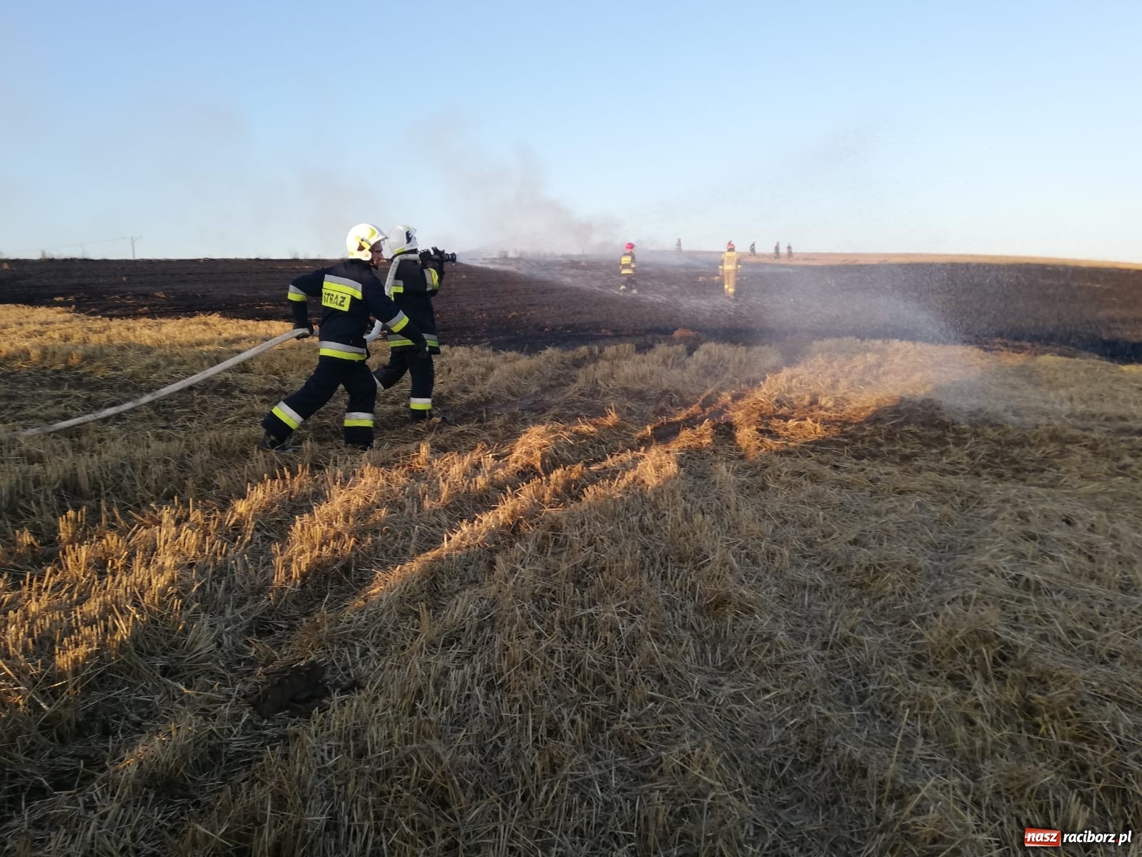Zdjęcie w galerii na portalu naszraciborz.pl: Pożar ścierniska w Ponięcicach. To podpalenie! [FOTO i WIDEO] wiadomości z regionu