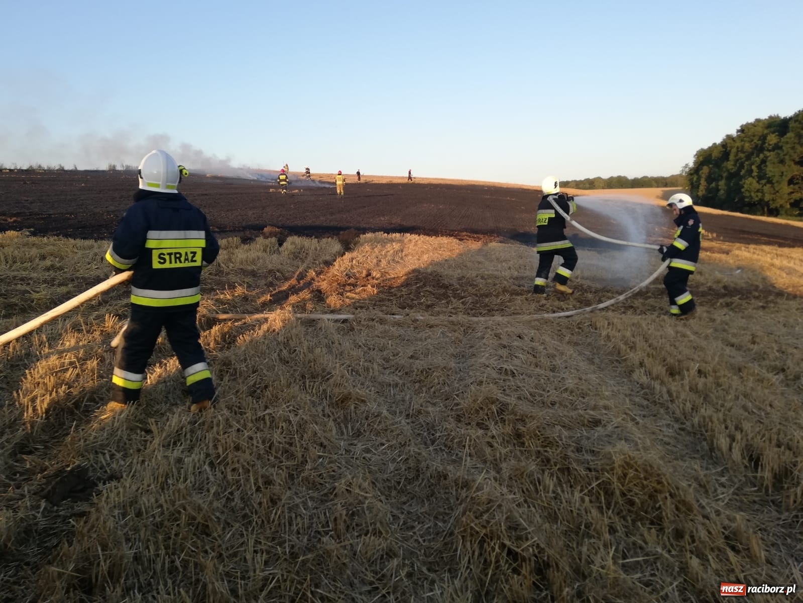 Zdjęcie w galerii na portalu naszraciborz.pl: Pożar ścierniska w Ponięcicach. To podpalenie! [FOTO i WIDEO] wiadomości z regionu