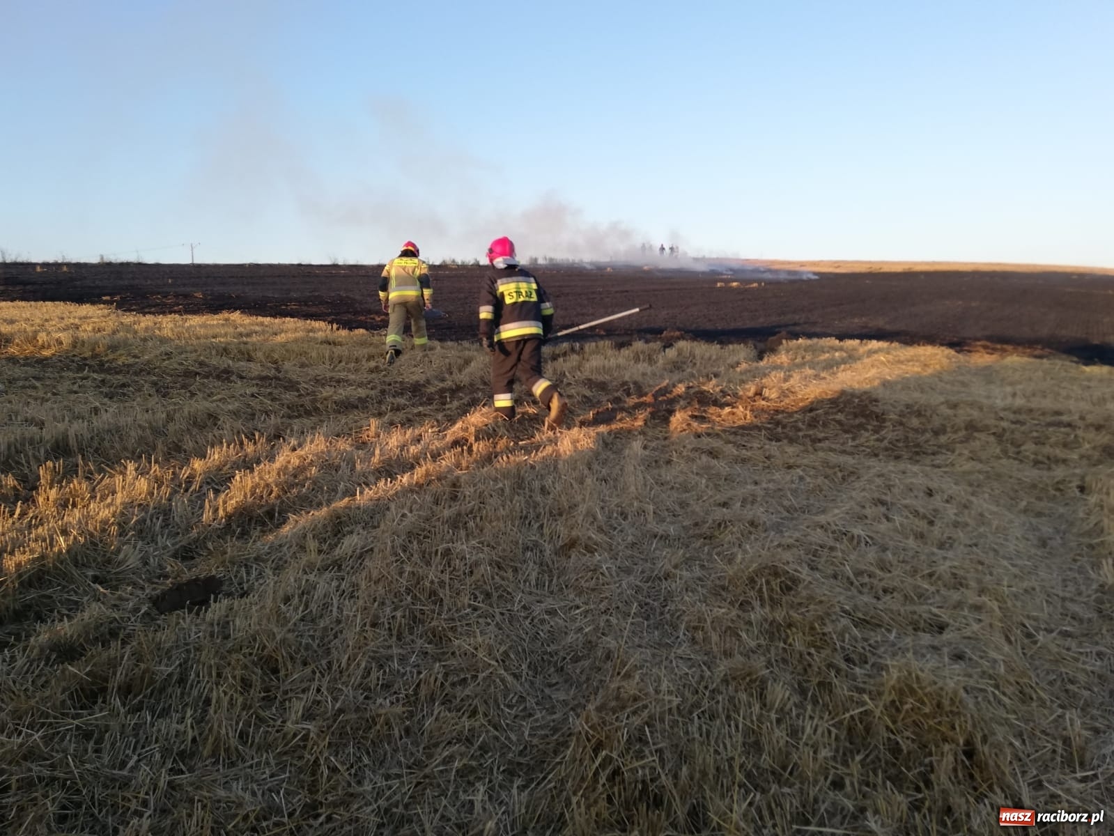 Zdjęcie w galerii na portalu naszraciborz.pl: Pożar ścierniska w Ponięcicach. To podpalenie! [FOTO i WIDEO] wiadomości z regionu