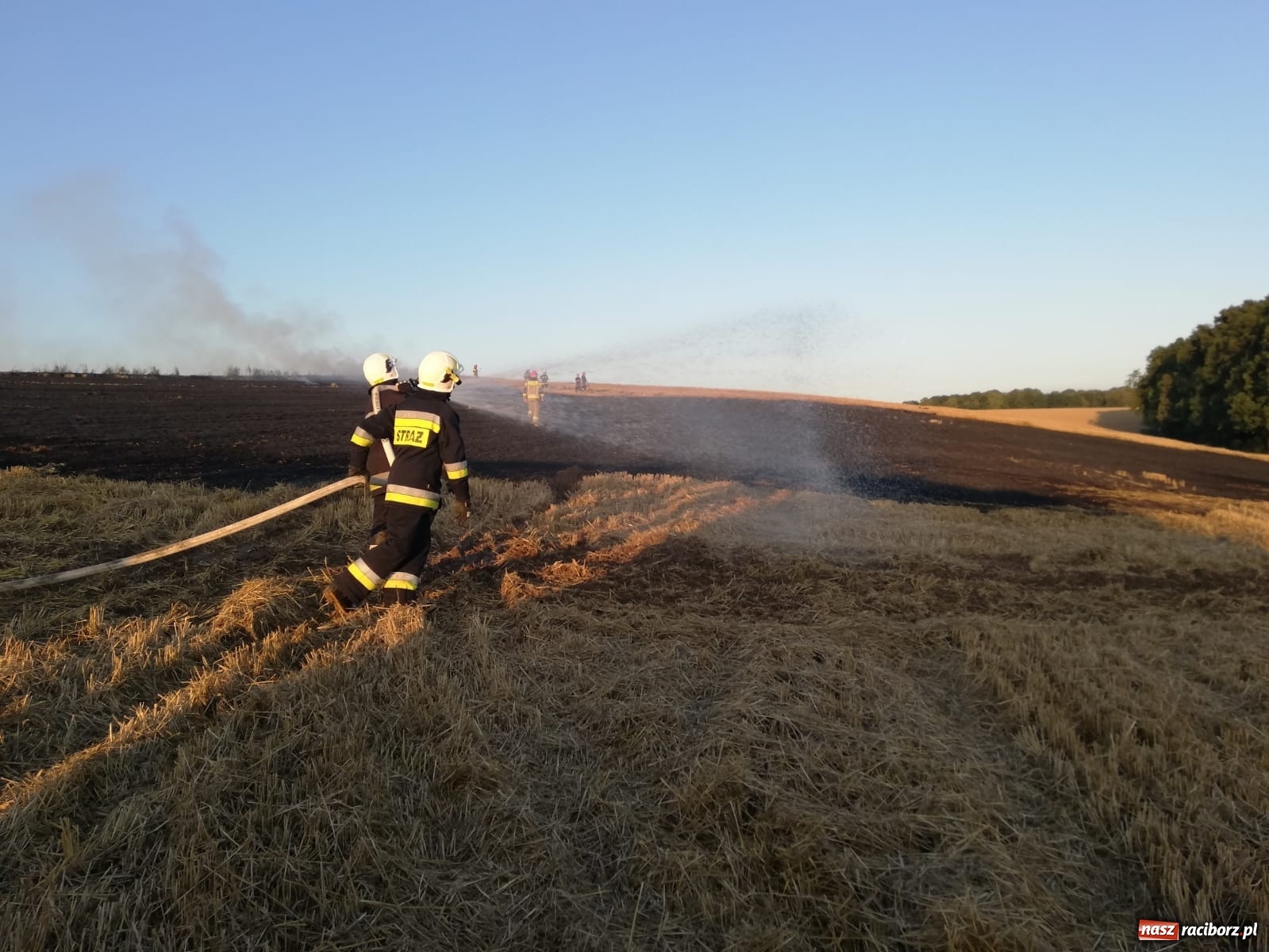 Zdjęcie w galerii na portalu naszraciborz.pl: Pożar ścierniska w Ponięcicach. To podpalenie! [FOTO i WIDEO] wiadomości z regionu