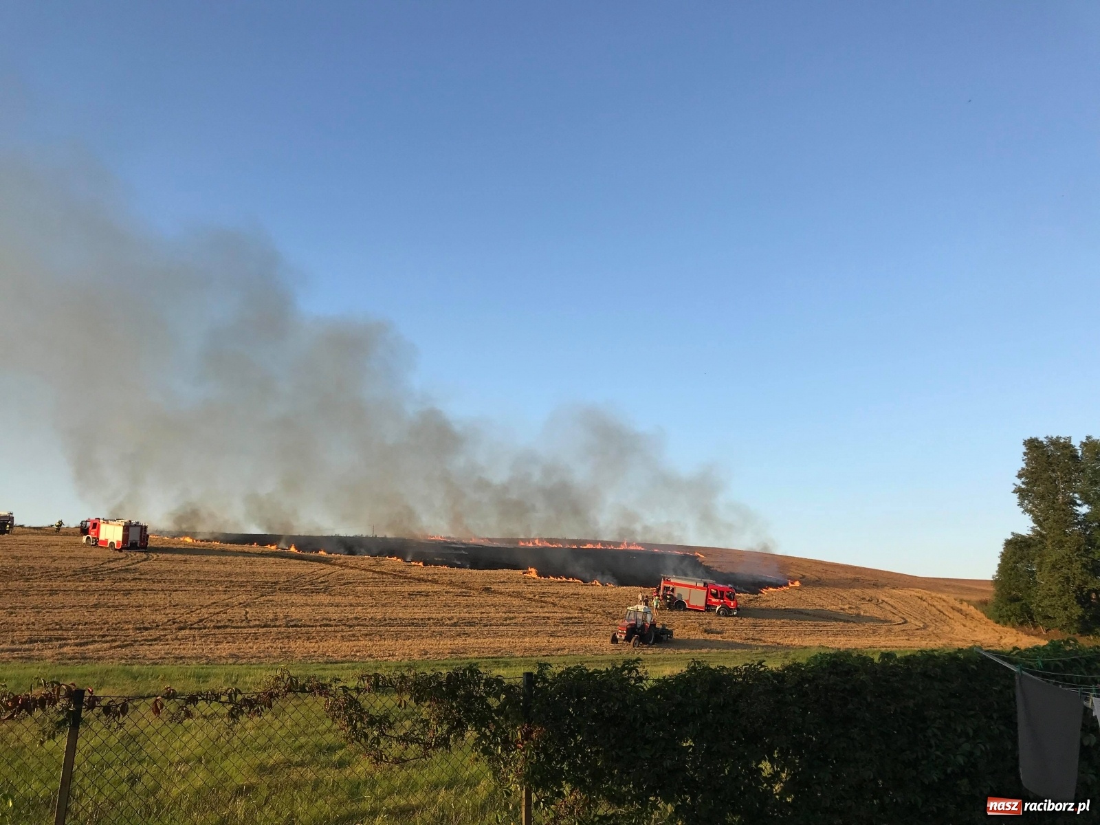 Zdjęcie w galerii na portalu naszraciborz.pl: Pożar ścierniska w Ponięcicach. To podpalenie! [FOTO i WIDEO] wiadomości z regionu