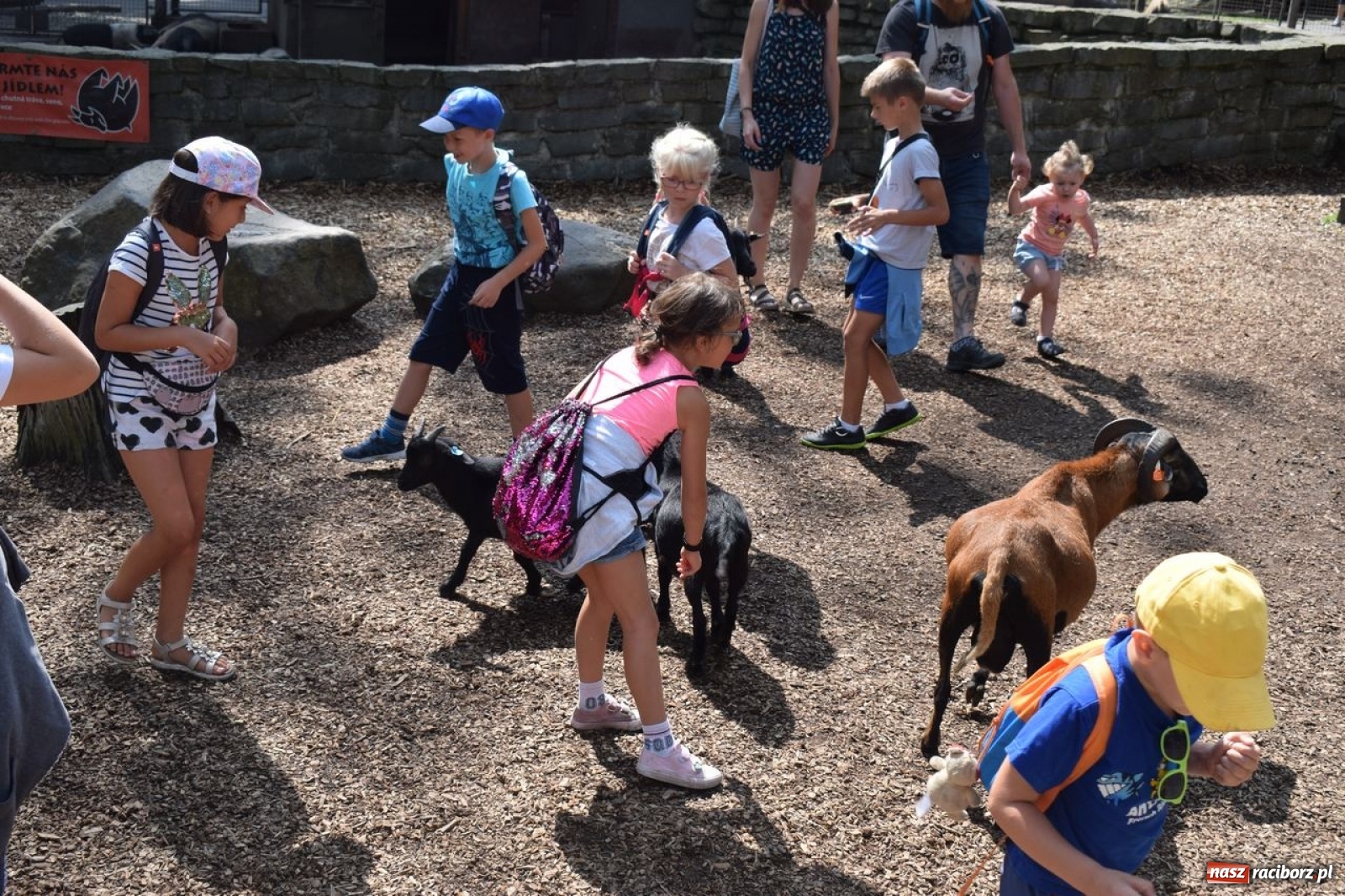 Zdjęcie w galerii na portalu naszraciborz.pl: Letnia Przygoda z Kuźnią Kultury wiadomości z regionu
