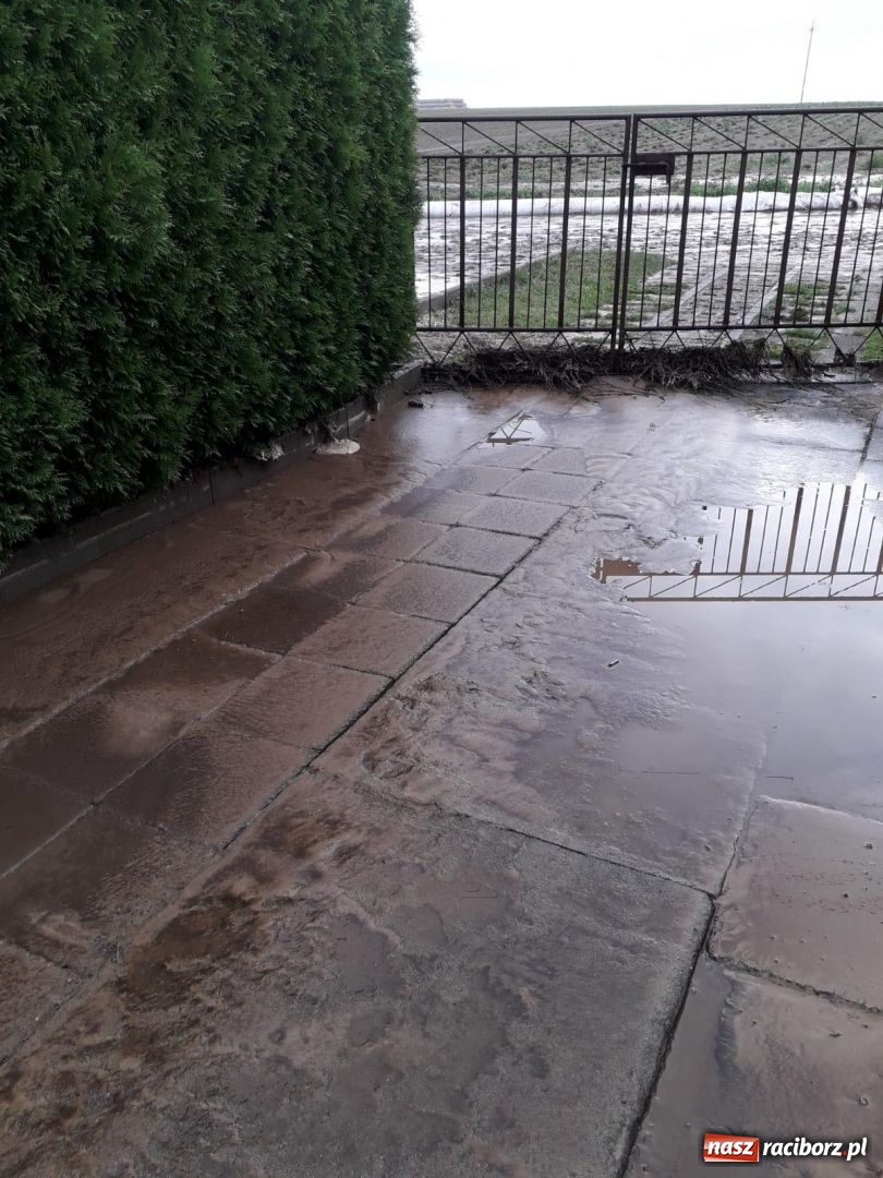 Zdjęcie w galerii na portalu naszraciborz.pl: Nocna nawałnica na Ocicach. Ponad 100 tys. zł strat [FOTO]  wiadomości z regionu