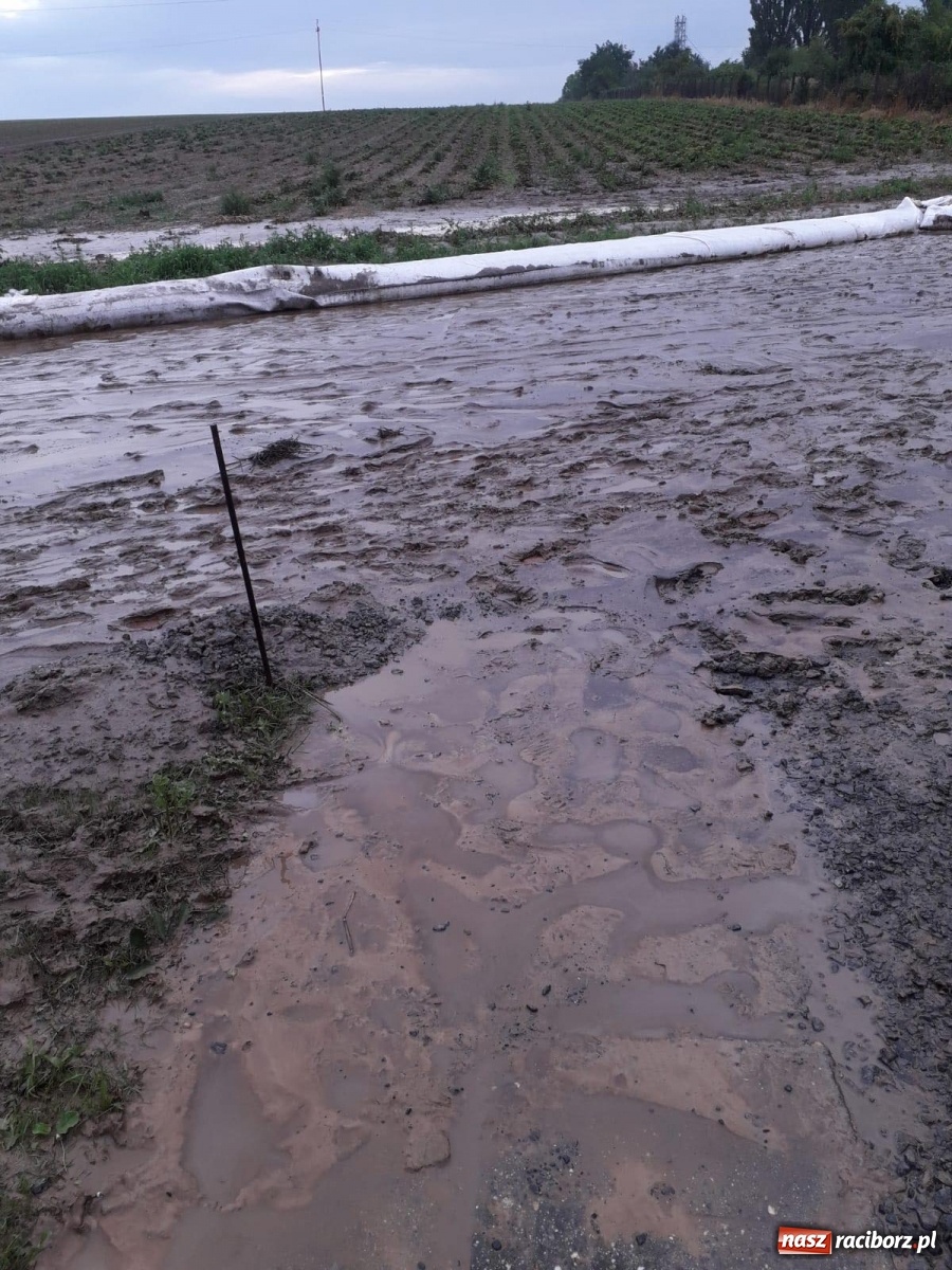 Zdjęcie w galerii na portalu naszraciborz.pl: Nocna nawałnica na Ocicach. Ponad 100 tys. zł strat [FOTO]  wiadomości z regionu