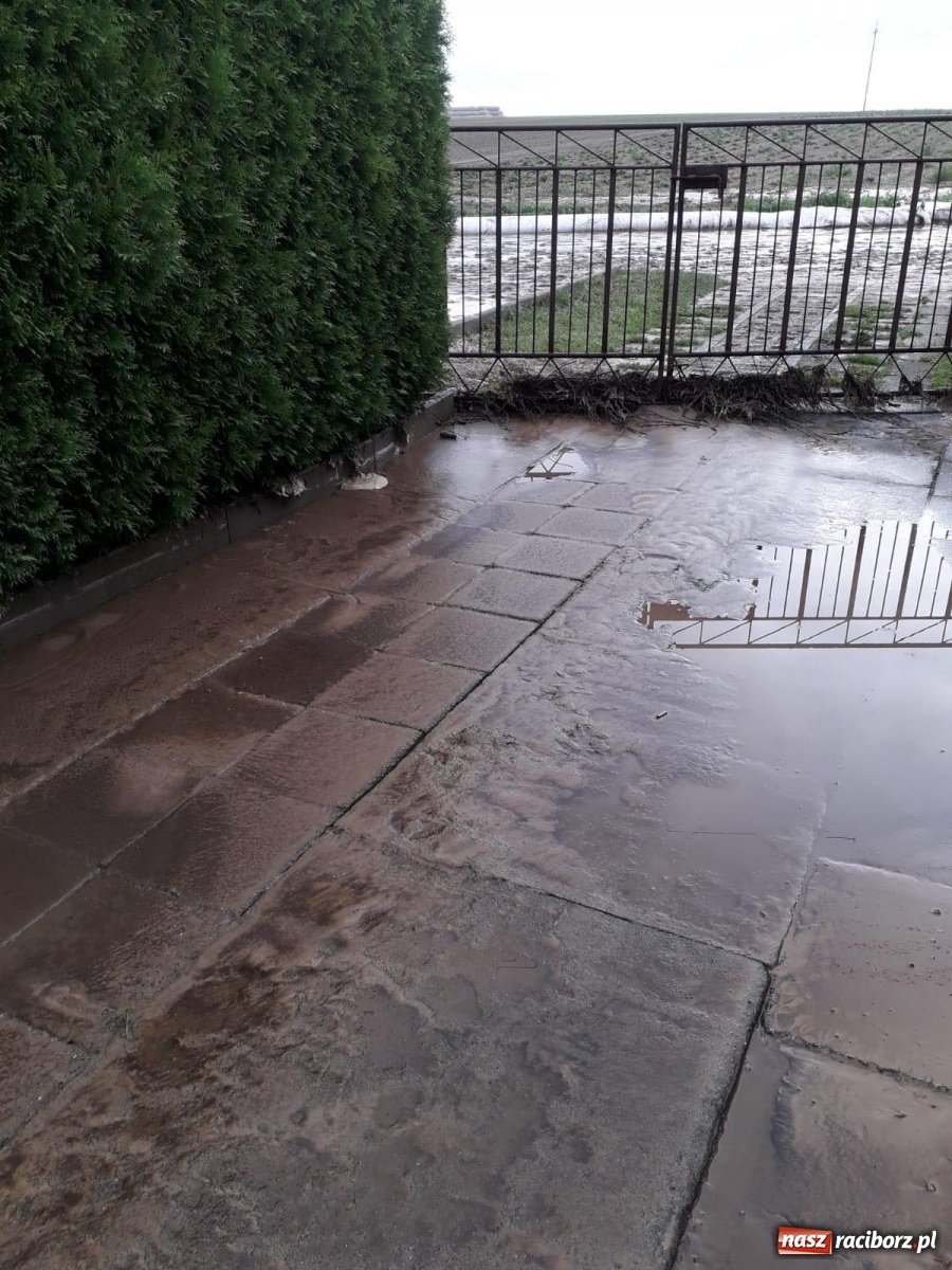 Zdjęcie w galerii na portalu naszraciborz.pl: Nocna nawałnica na Ocicach. Ponad 100 tys. zł strat [FOTO]  wiadomości z regionu