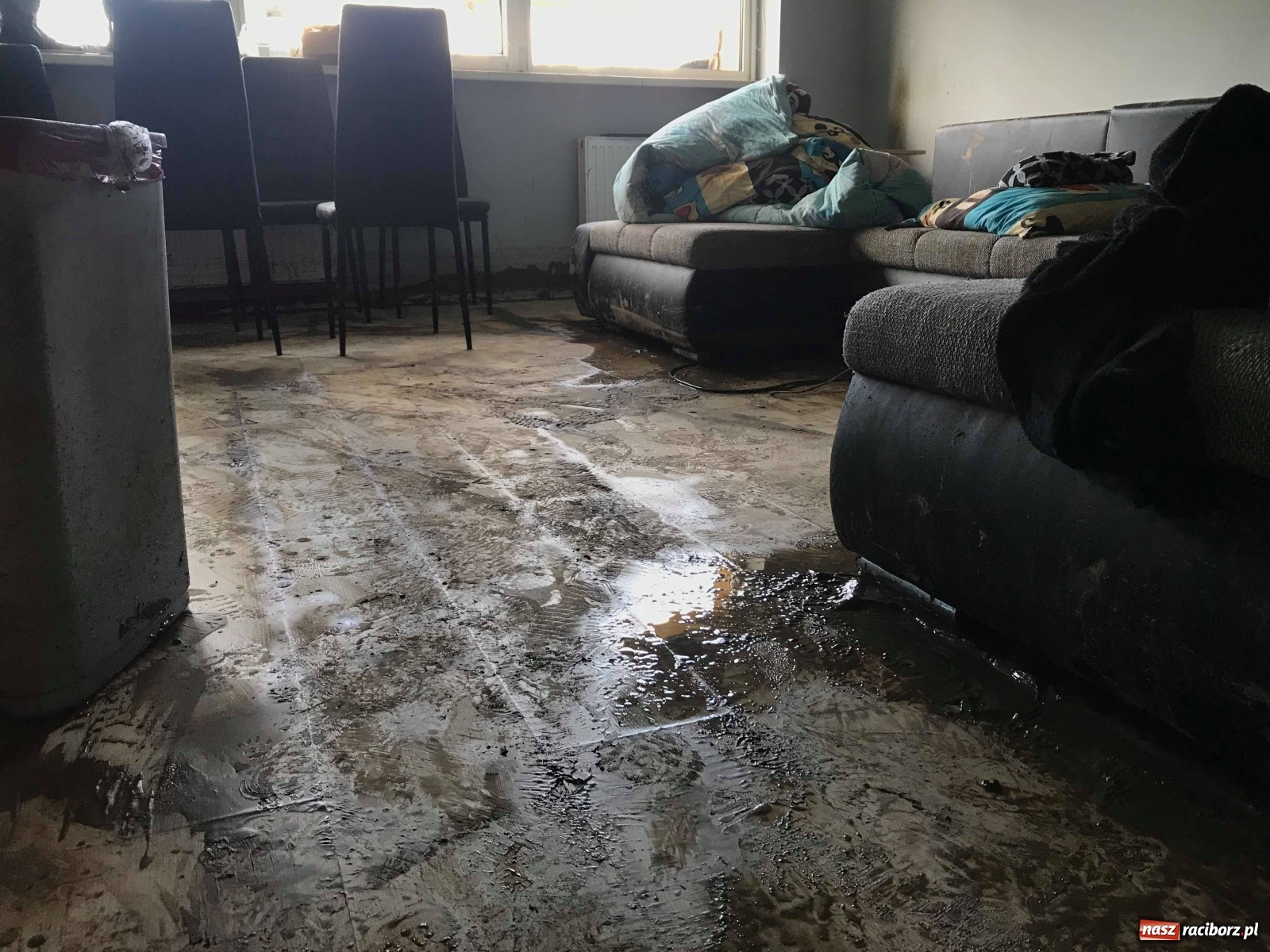 Zdjęcie w galerii na portalu naszraciborz.pl: Nocna nawałnica na Ocicach. Ponad 100 tys. zł strat [FOTO]  wiadomości z regionu