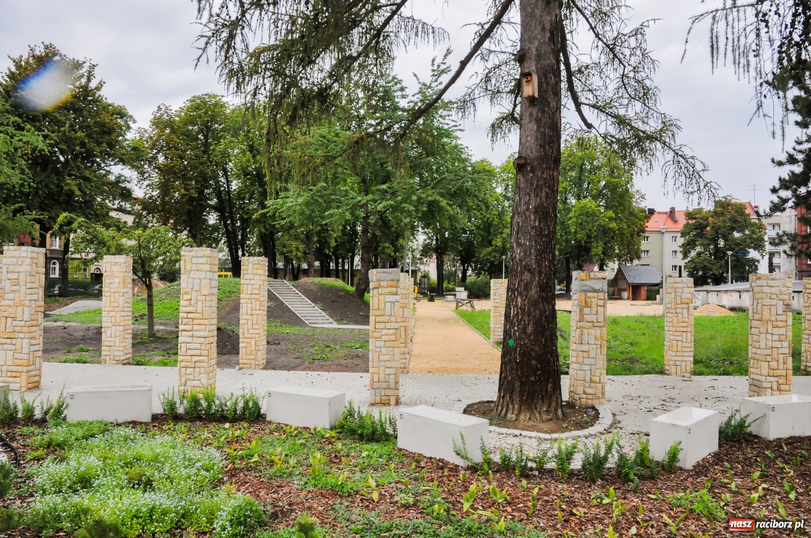 Zdjęcie w galerii na portalu naszraciborz.pl: Park Jordanowski w pełni zakwitnie wiosną [FOTO] wiadomości z regionu