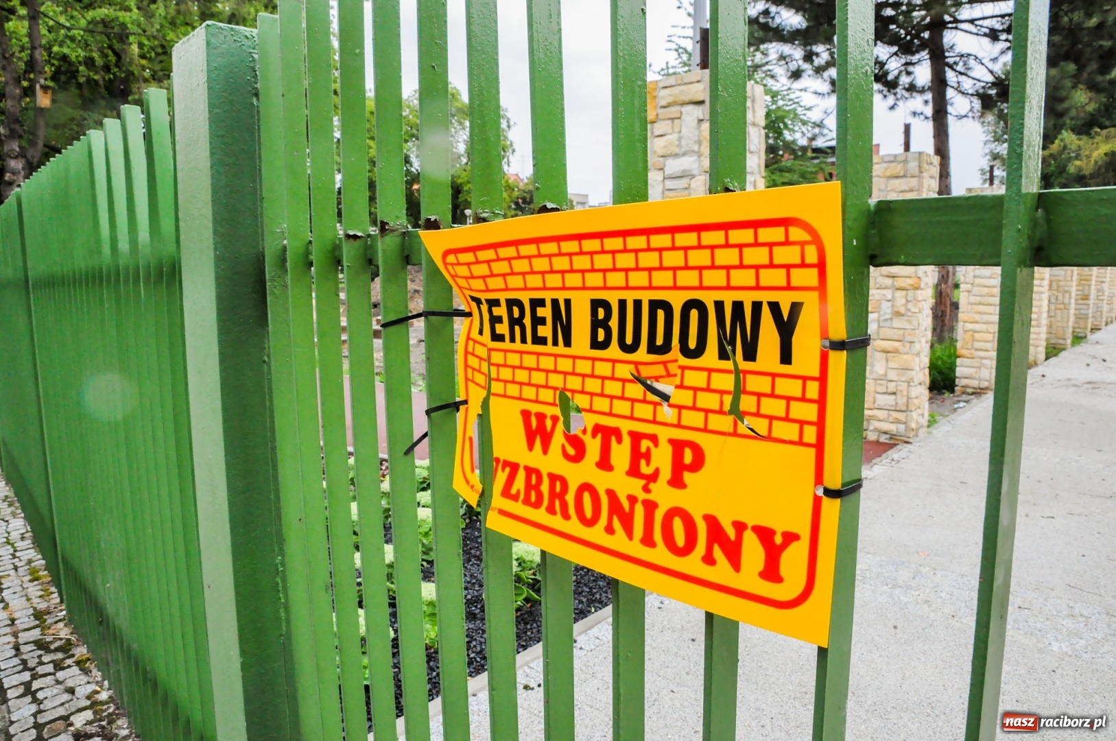 Zdjęcie w galerii na portalu naszraciborz.pl: Park Jordanowski w pełni zakwitnie wiosną [FOTO] wiadomości z regionu