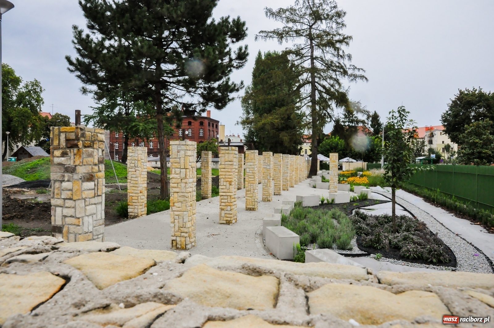 Zdjęcie w galerii na portalu naszraciborz.pl: Park Jordanowski w pełni zakwitnie wiosną [FOTO] wiadomości z regionu