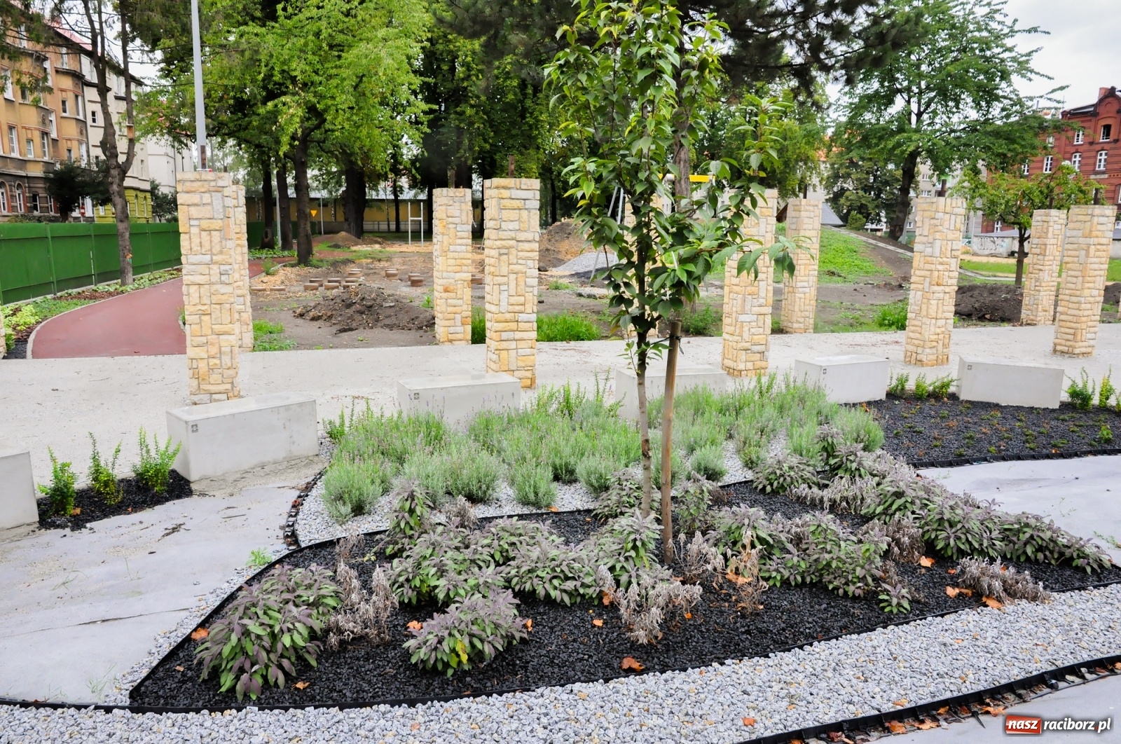 Zdjęcie w galerii na portalu naszraciborz.pl: Park Jordanowski w pełni zakwitnie wiosną [FOTO] wiadomości z regionu