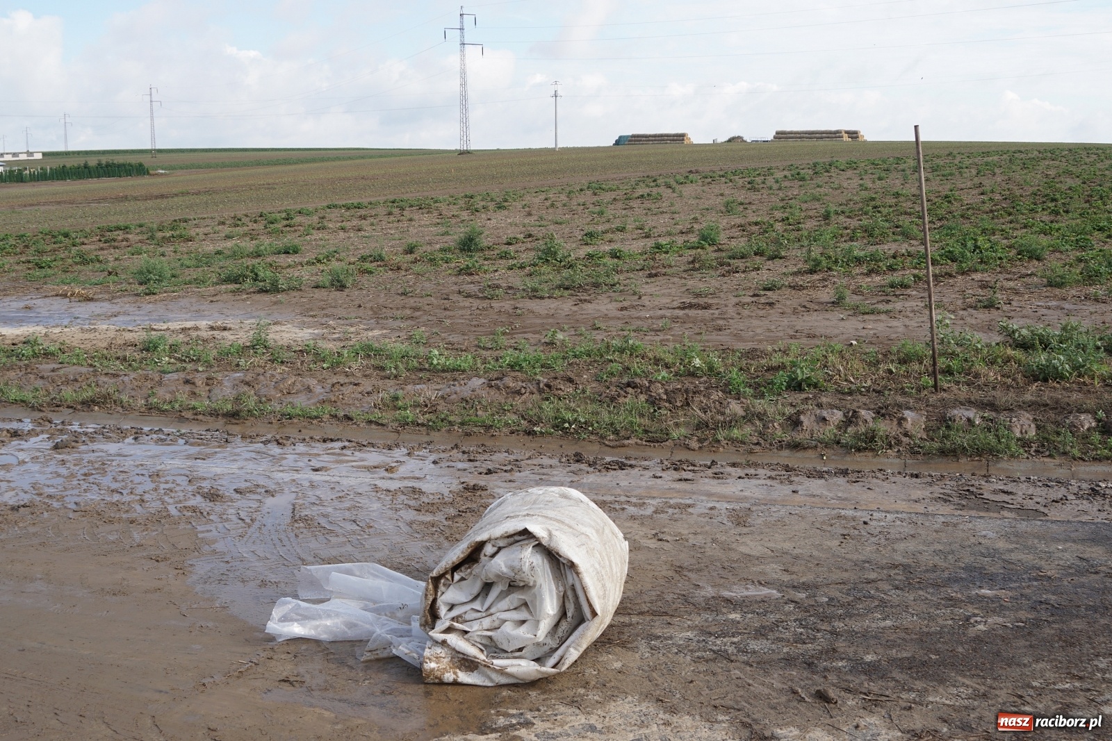Zdjęcie w galerii na portalu naszraciborz.pl: Nawałnica nad Ocicami. Prezydent odwiedził poszkodowanych wiadomości z regionu