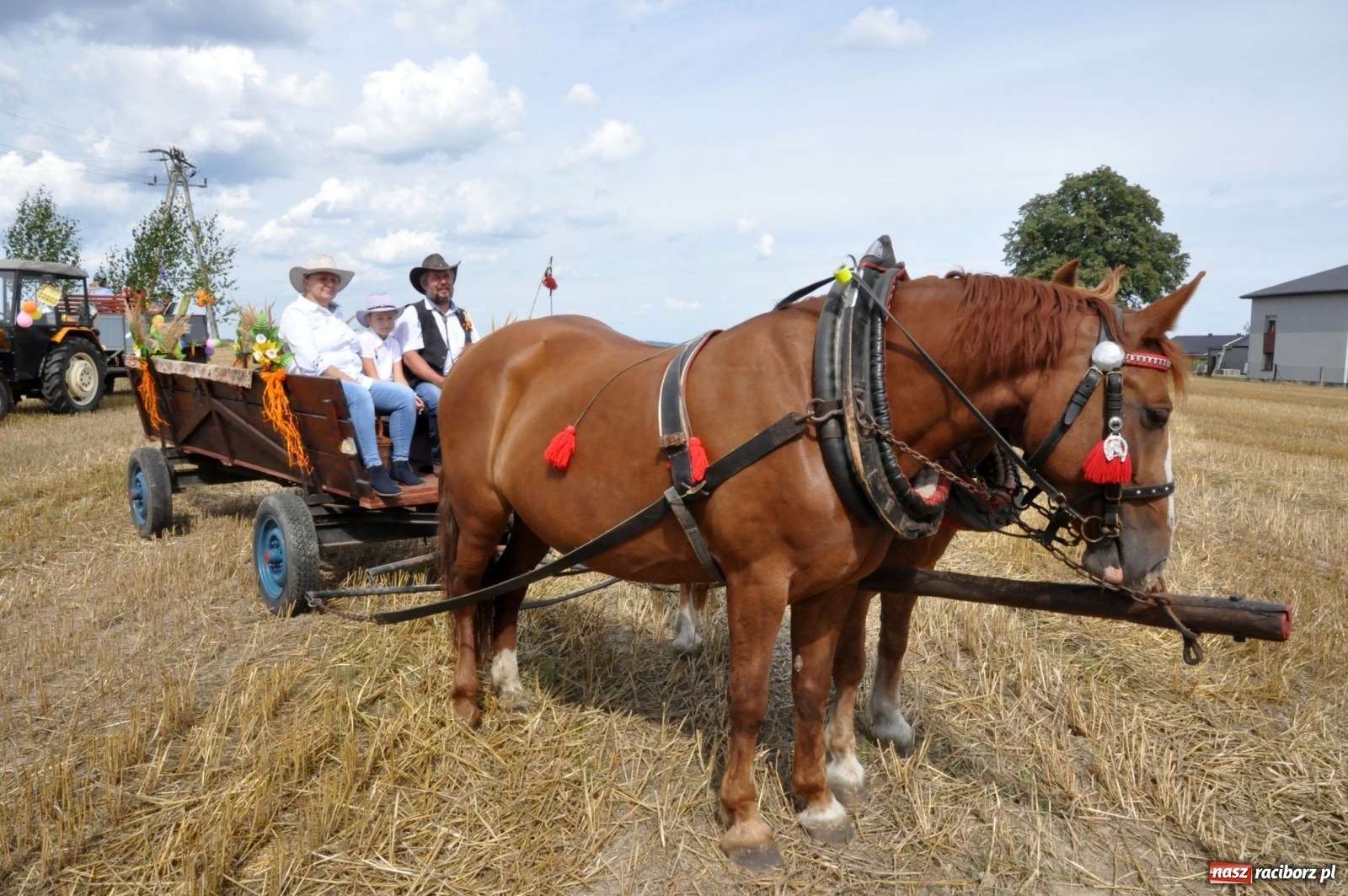 Zdjęcie w galerii na portalu naszraciborz.pl: Łańce rozpoczęły sezon dożynkowy na Raciborszczyźnie [FOTO i WIDEO] wiadomości z regionu