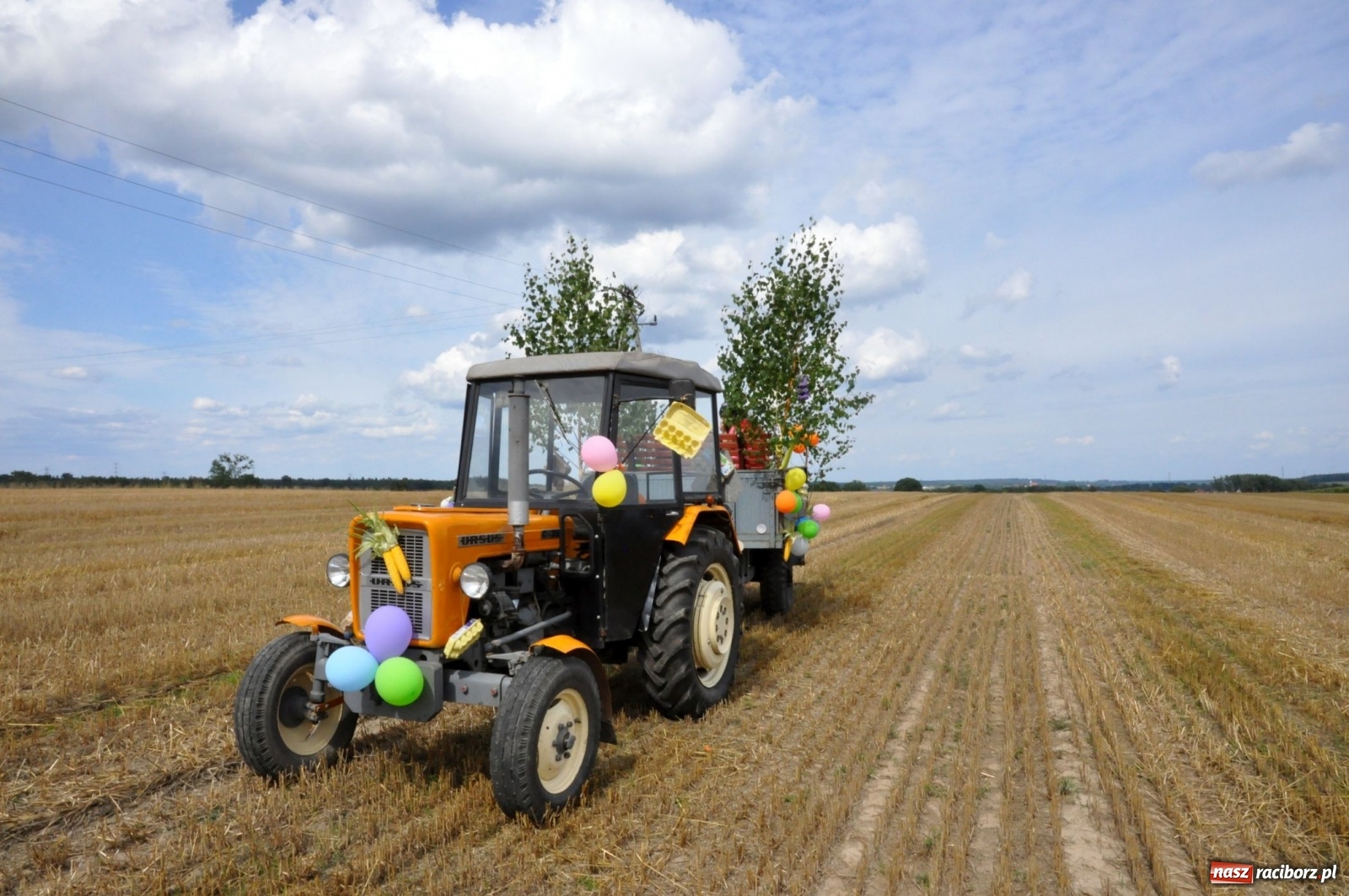 Zdjęcie w galerii na portalu naszraciborz.pl: Łańce rozpoczęły sezon dożynkowy na Raciborszczyźnie [FOTO i WIDEO] wiadomości z regionu