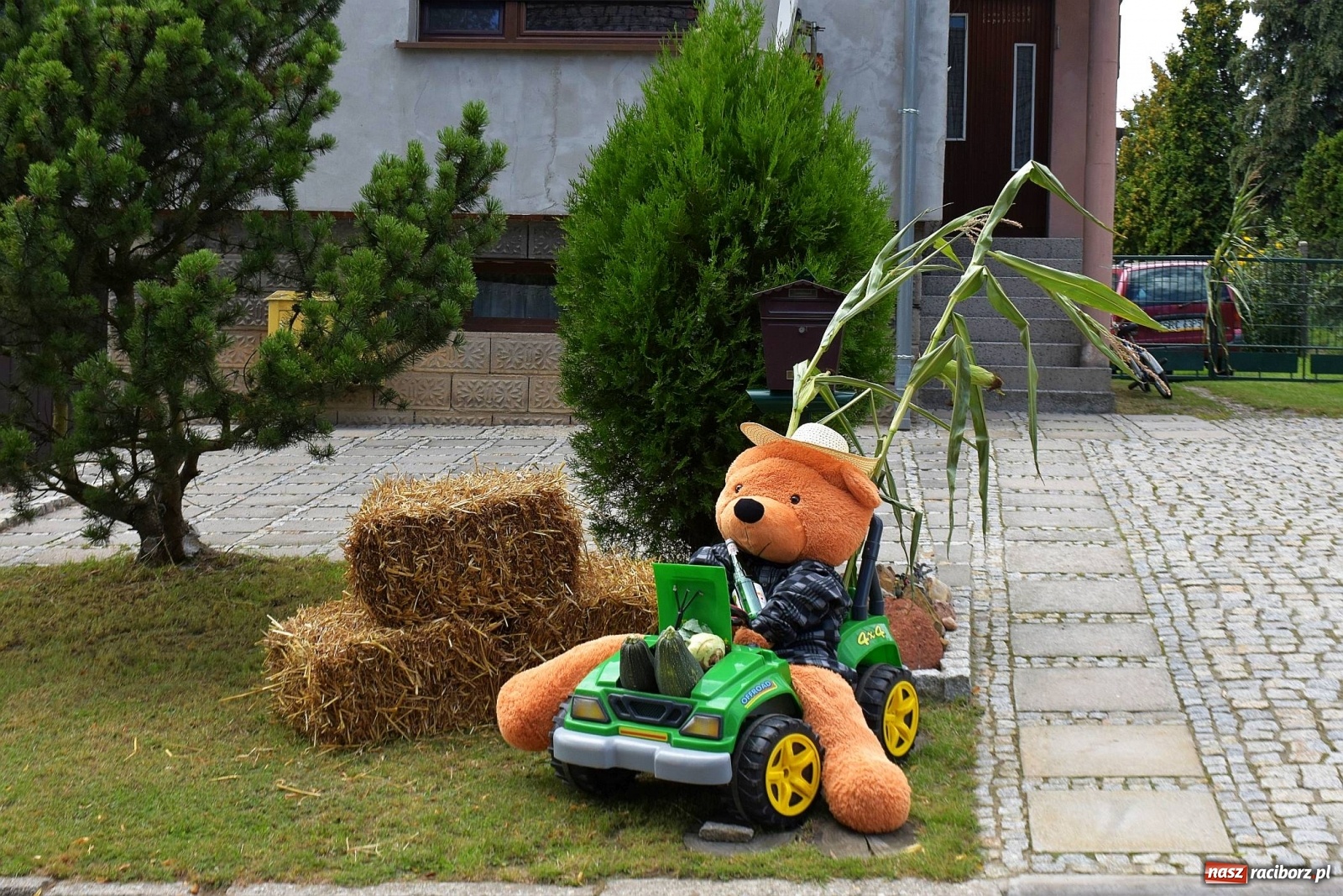 Zdjęcie w galerii na portalu naszraciborz.pl: Dożynki 2019. W Bolesławiu jak na plaży [FOTO i WIDEO]  wiadomości z regionu