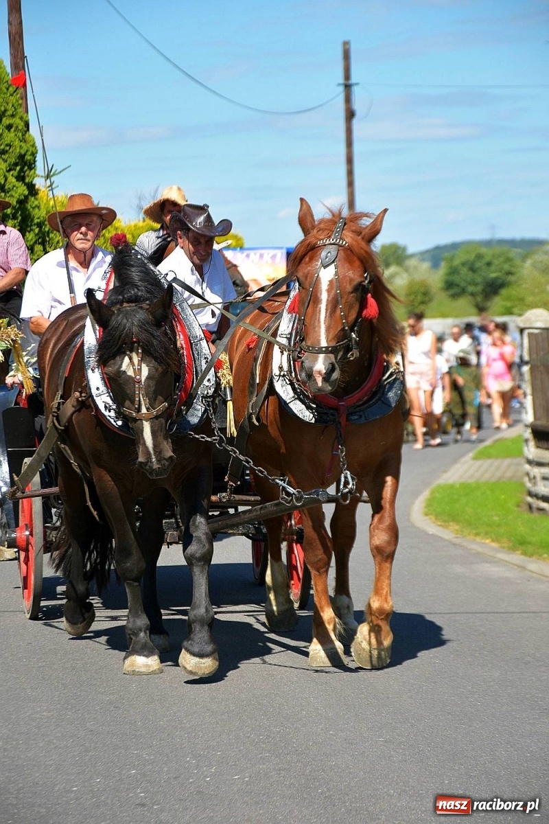 Zdjęcie w galerii na portalu naszraciborz.pl: Dożynki 2019. Chcemy żyć! Roszków wolny od GMO [FOTO i WIDEO] wiadomości z regionu