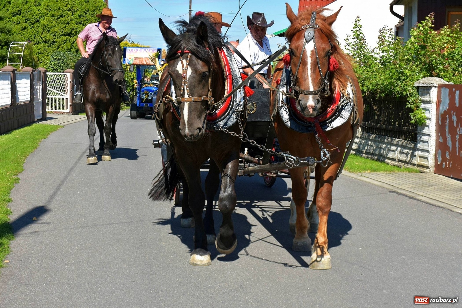 Zdjęcie w galerii na portalu naszraciborz.pl: Dożynki 2019. Chcemy żyć! Roszków wolny od GMO [FOTO i WIDEO] wiadomości z regionu