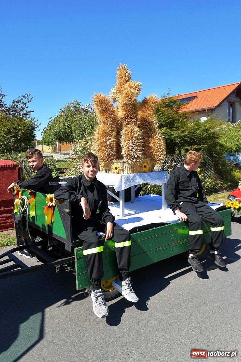 Zdjęcie w galerii na portalu naszraciborz.pl: Dożynki 2019. Chcemy żyć! Roszków wolny od GMO [FOTO i WIDEO] wiadomości z regionu