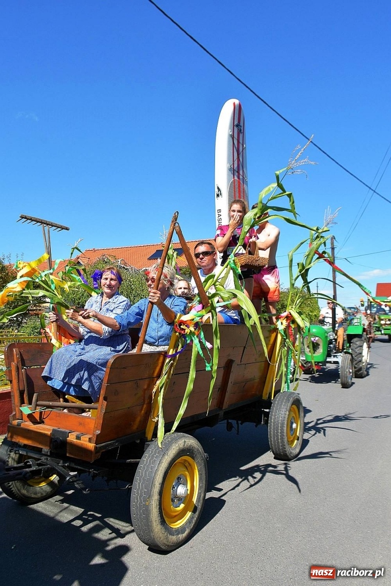 Zdjęcie w galerii na portalu naszraciborz.pl: Dożynki 2019. Chcemy żyć! Roszków wolny od GMO [FOTO i WIDEO] wiadomości z regionu