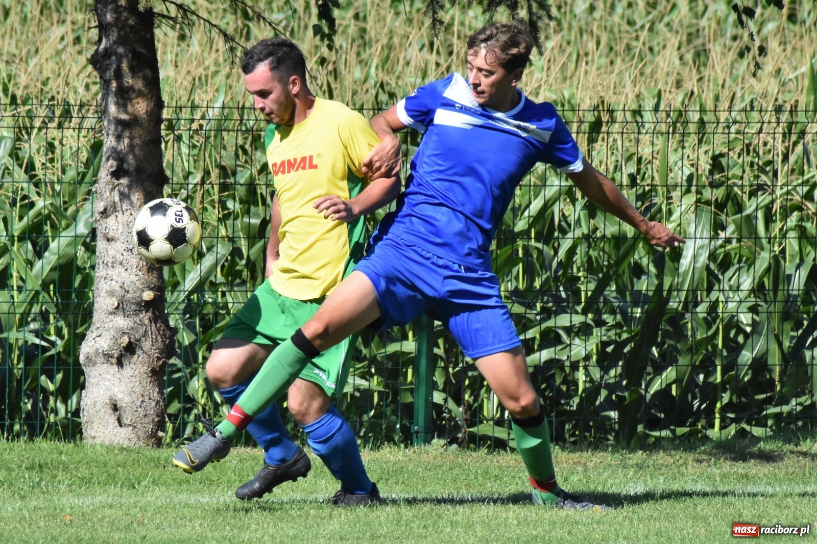 Zdjęcie w galerii na portalu naszraciborz.pl: Mecz walki w Gamowie. Brzezie z kompletem punktów [FOTO] wiadomości z regionu