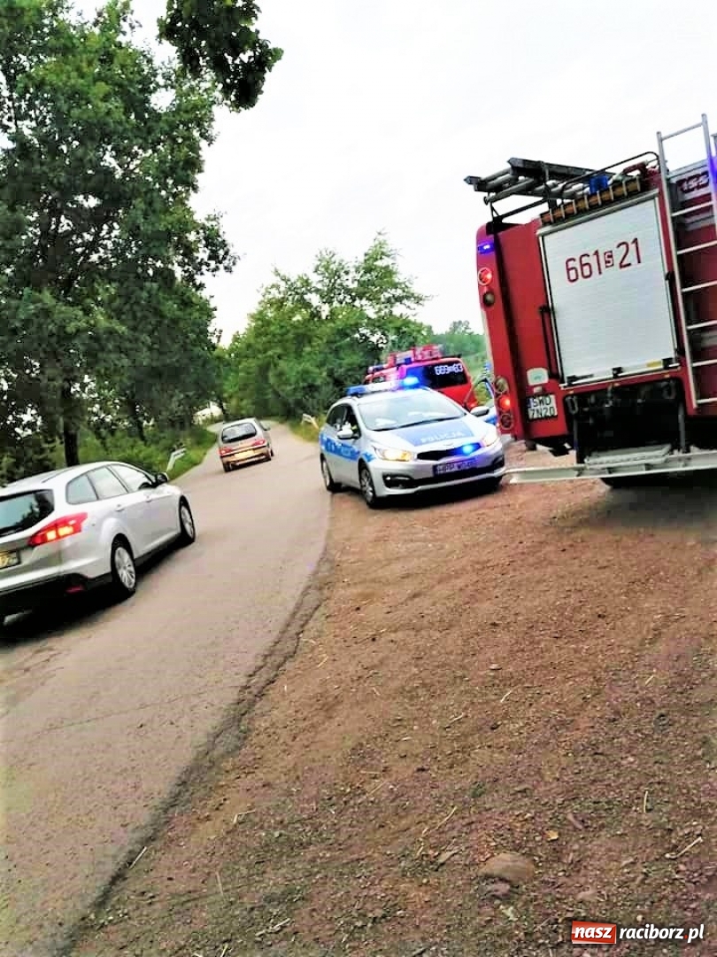 Zdjęcie w galerii na portalu naszraciborz.pl: Samochód wypadł z drogi i wjechał do stawu wiadomości z regionu