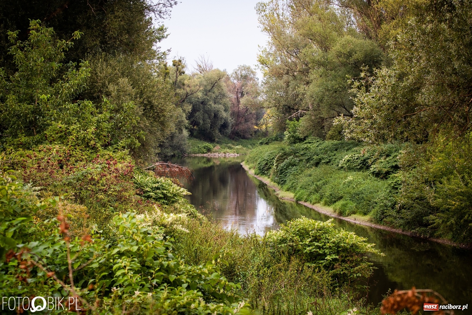 Zdjęcie w galerii na portalu naszraciborz.pl: Prom nie kursuje, wody w Odrze wciąż mało [FOTO i WIDEO]  wiadomości z regionu