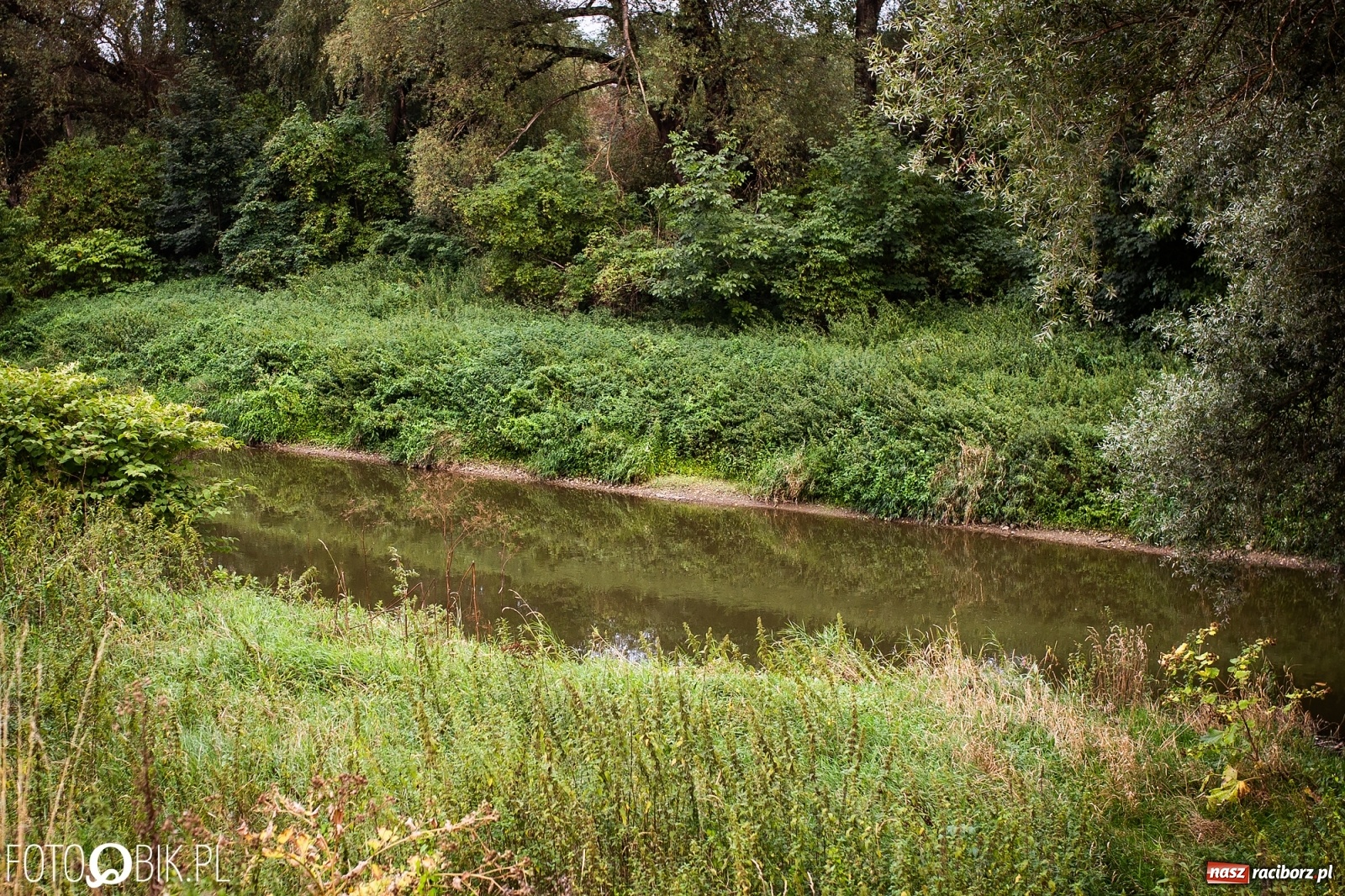 Zdjęcie w galerii na portalu naszraciborz.pl: Prom nie kursuje, wody w Odrze wciąż mało [FOTO i WIDEO]  wiadomości z regionu