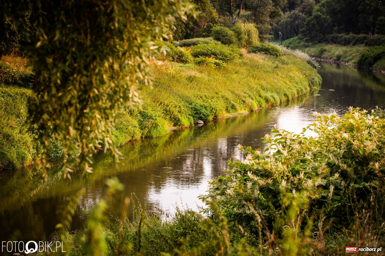 Zdjęcie w galerii na portalu naszraciborz.pl: Prom nie kursuje, wody w Odrze wciąż mało [FOTO i WIDEO]  wiadomości z regionu
