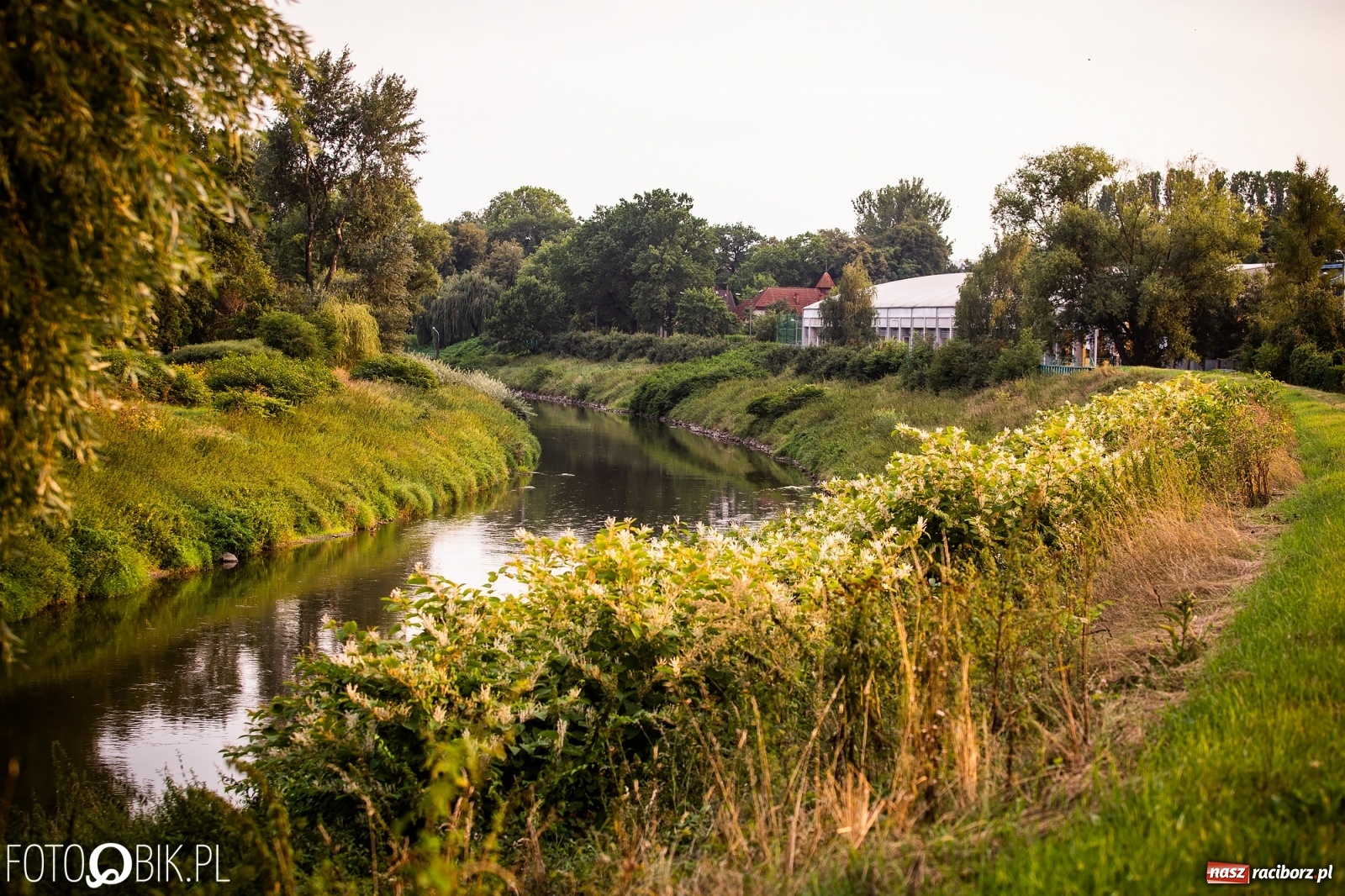 Zdjęcie w galerii na portalu naszraciborz.pl: Prom nie kursuje, wody w Odrze wciąż mało [FOTO i WIDEO]  wiadomości z regionu
