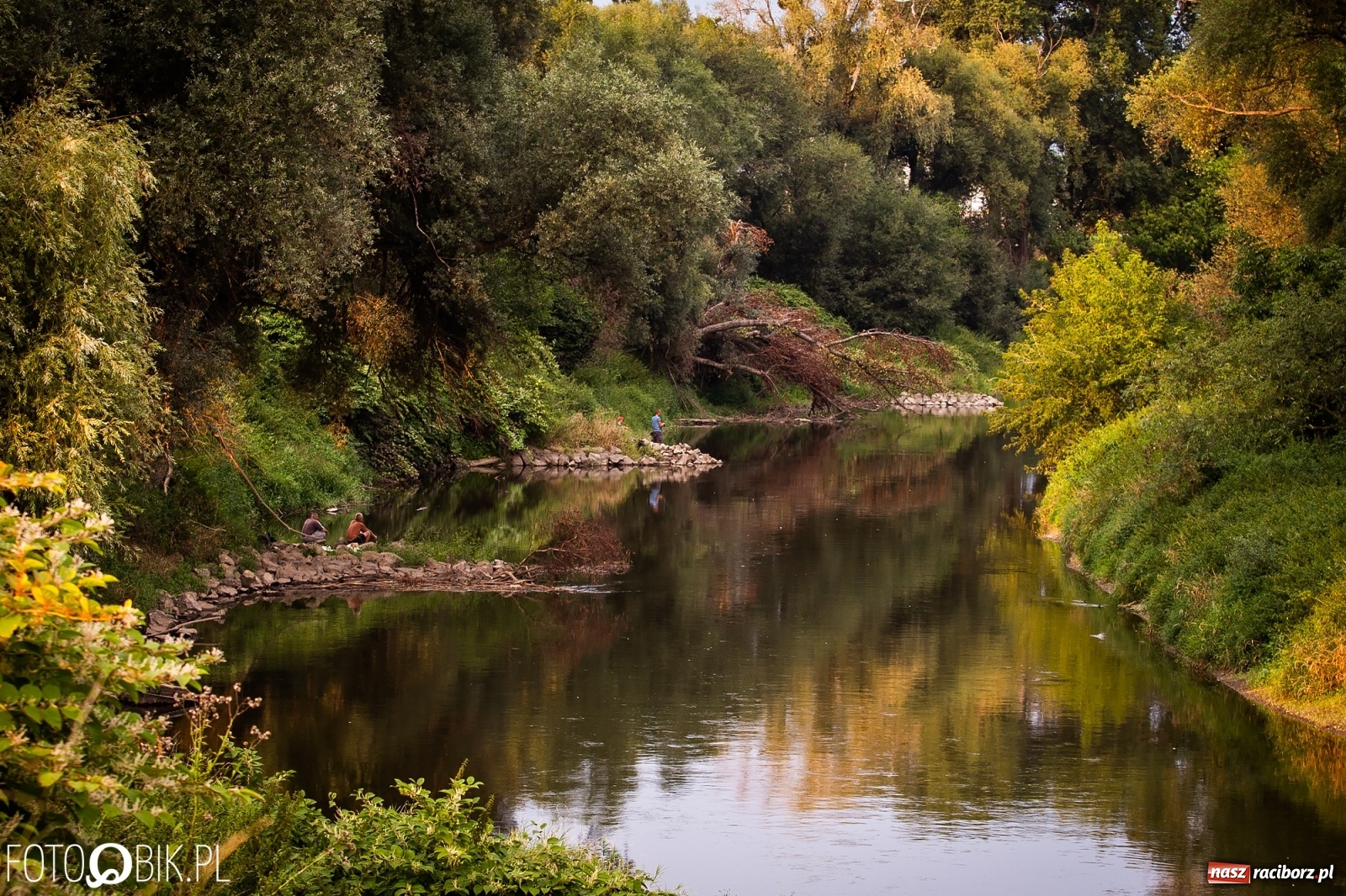 Zdjęcie w galerii na portalu naszraciborz.pl: Prom nie kursuje, wody w Odrze wciąż mało [FOTO i WIDEO]  wiadomości z regionu