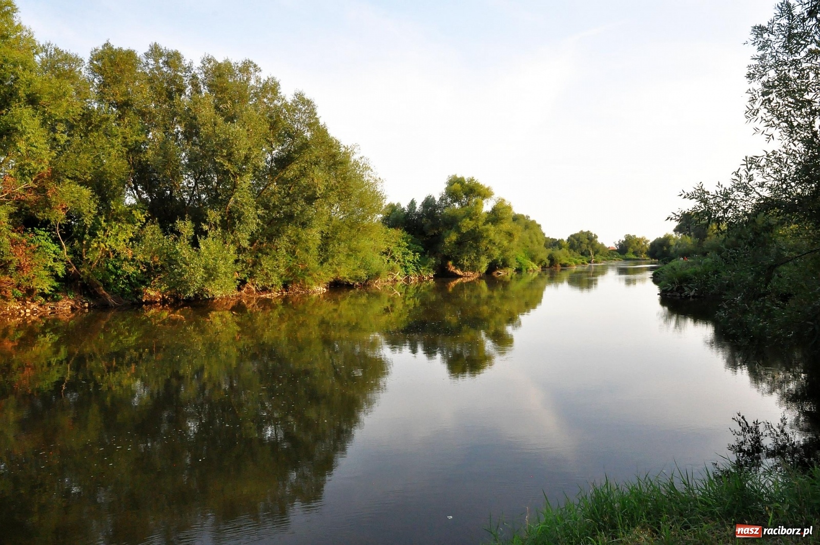 Zdjęcie w galerii na portalu naszraciborz.pl: Prom nie kursuje, wody w Odrze wciąż mało [FOTO i WIDEO]  wiadomości z regionu