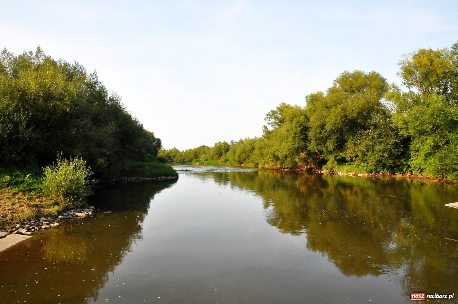 Zdjęcie w galerii na portalu naszraciborz.pl: Prom nie kursuje, wody w Odrze wciąż mało [FOTO i WIDEO]  wiadomości z regionu
