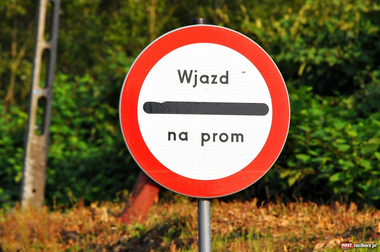 Zdjęcie w galerii na portalu naszraciborz.pl: Prom nie kursuje, wody w Odrze wciąż mało [FOTO i WIDEO]  wiadomości z regionu