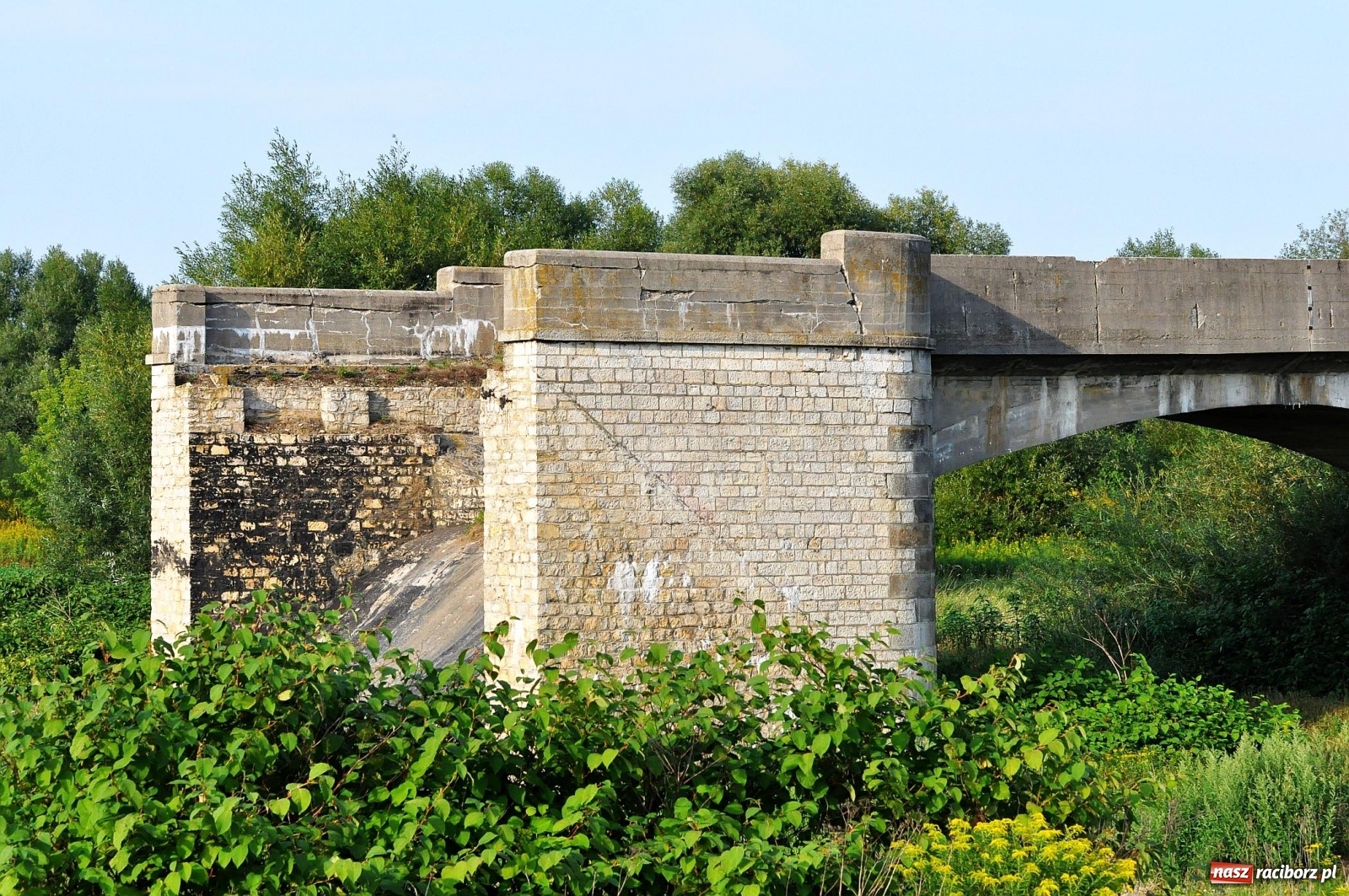 Zdjęcie w galerii na portalu naszraciborz.pl: Prom nie kursuje, wody w Odrze wciąż mało [FOTO i WIDEO]  wiadomości z regionu