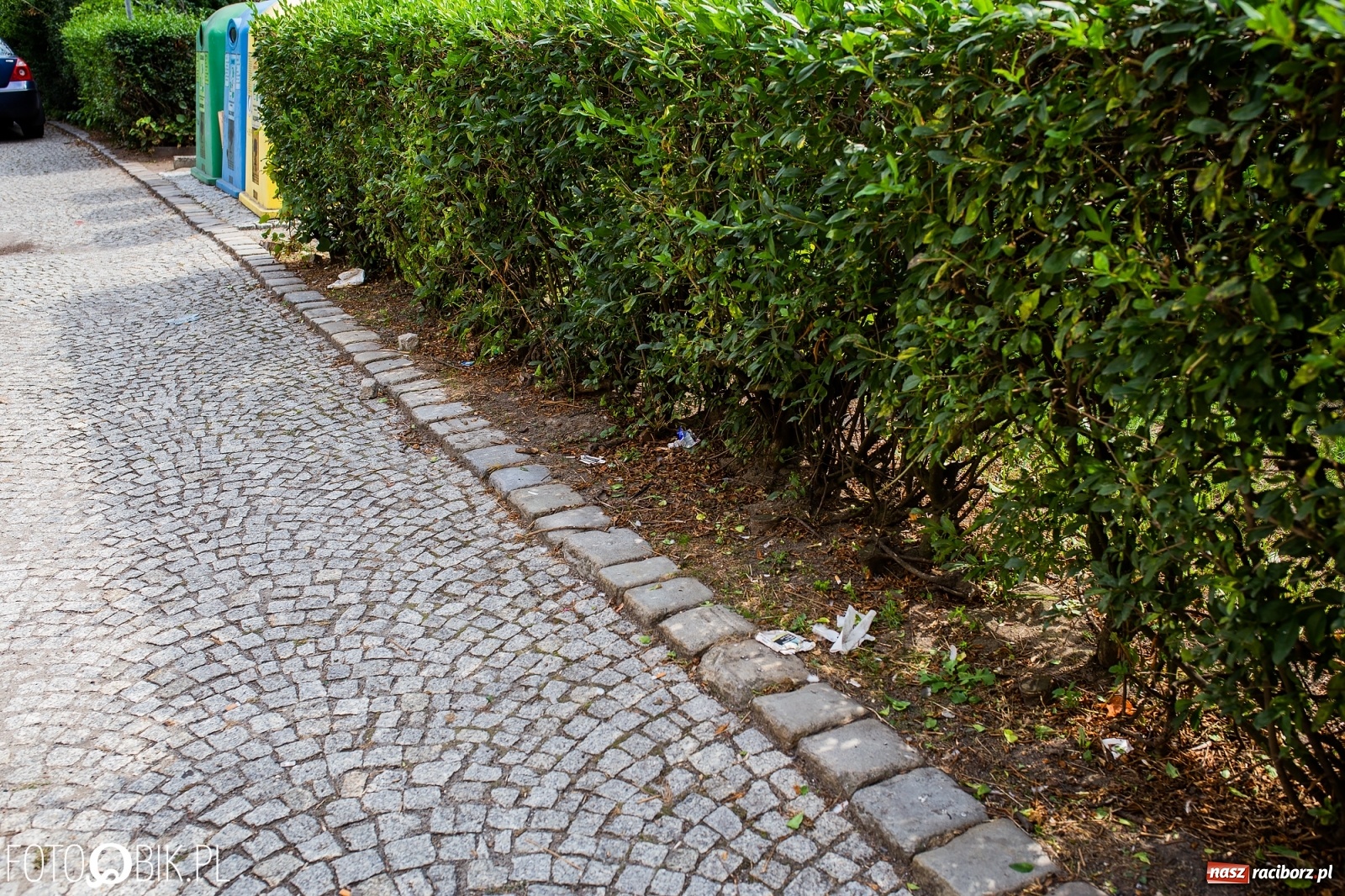 Zdjęcie w galerii na portalu naszraciborz.pl: Po drugiej stronie lustra. Raciborskie podwórka jak z trzeciego świata [FOTO] wiadomości z regionu