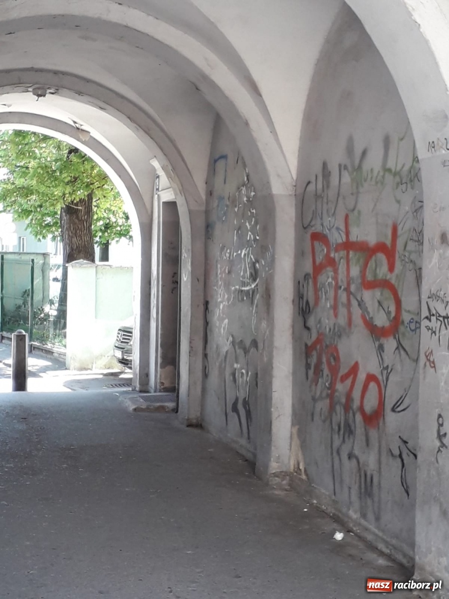 Zdjęcie w galerii na portalu naszraciborz.pl: Po drugiej stronie lustra. Raciborskie podwórka jak z trzeciego świata [FOTO] wiadomości z regionu