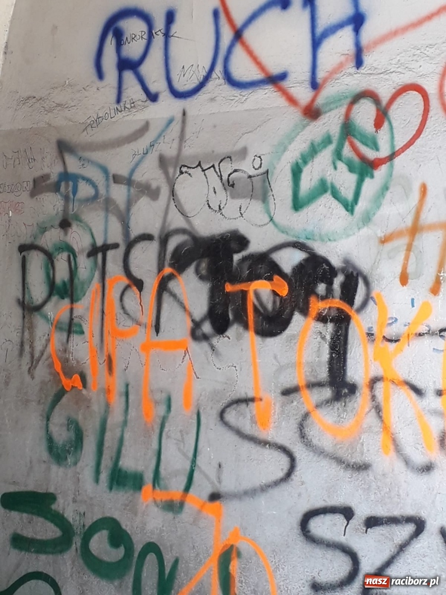 Zdjęcie w galerii na portalu naszraciborz.pl: Po drugiej stronie lustra. Raciborskie podwórka jak z trzeciego świata [FOTO] wiadomości z regionu