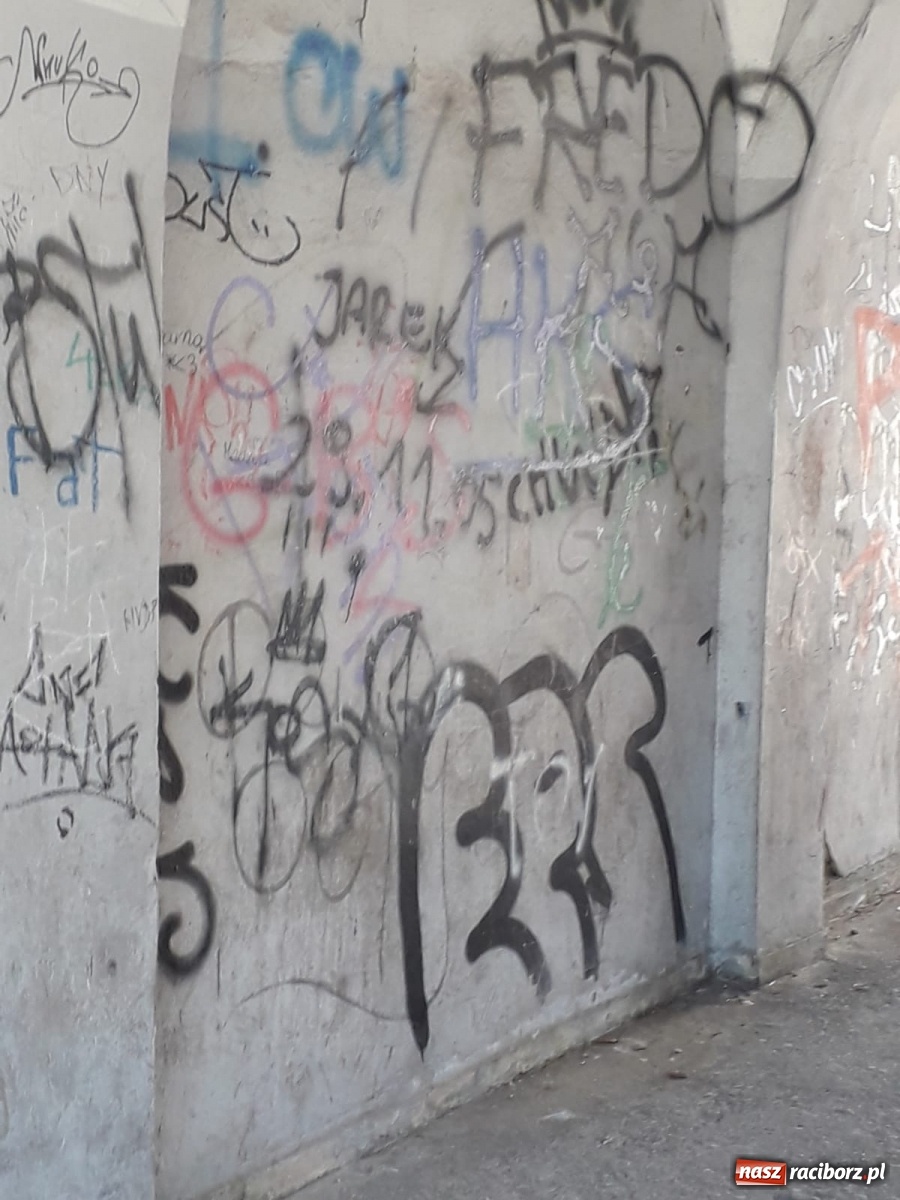 Zdjęcie w galerii na portalu naszraciborz.pl: Po drugiej stronie lustra. Raciborskie podwórka jak z trzeciego świata [FOTO] wiadomości z regionu