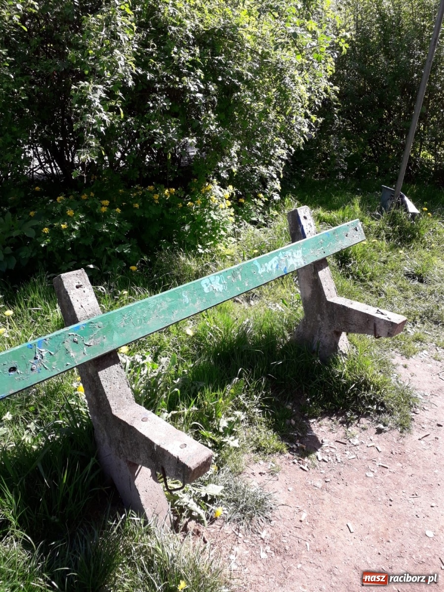 Zdjęcie w galerii na portalu naszraciborz.pl: Po drugiej stronie lustra. Raciborskie podwórka jak z trzeciego świata [FOTO] wiadomości z regionu