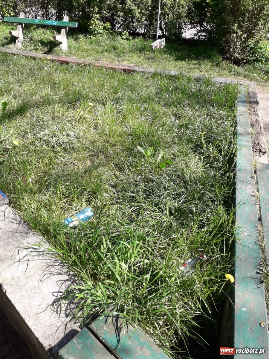 Zdjęcie w galerii na portalu naszraciborz.pl: Po drugiej stronie lustra. Raciborskie podwórka jak z trzeciego świata [FOTO] wiadomości z regionu