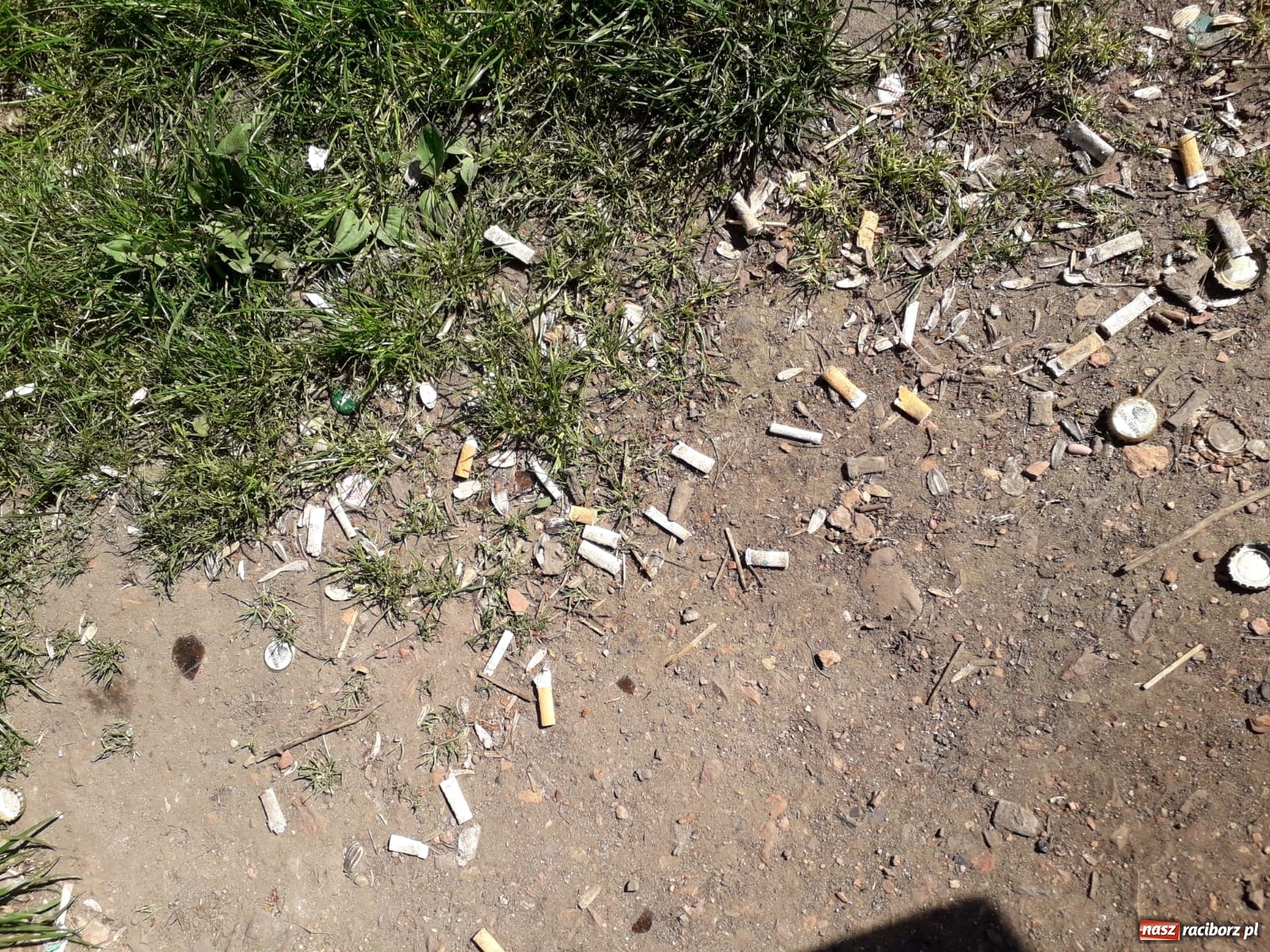 Zdjęcie w galerii na portalu naszraciborz.pl: Po drugiej stronie lustra. Raciborskie podwórka jak z trzeciego świata [FOTO] wiadomości z regionu