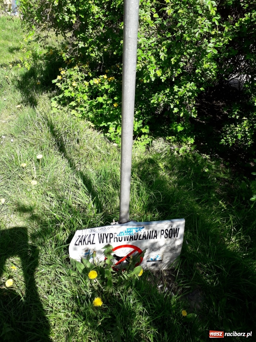 Zdjęcie w galerii na portalu naszraciborz.pl: Po drugiej stronie lustra. Raciborskie podwórka jak z trzeciego świata [FOTO] wiadomości z regionu