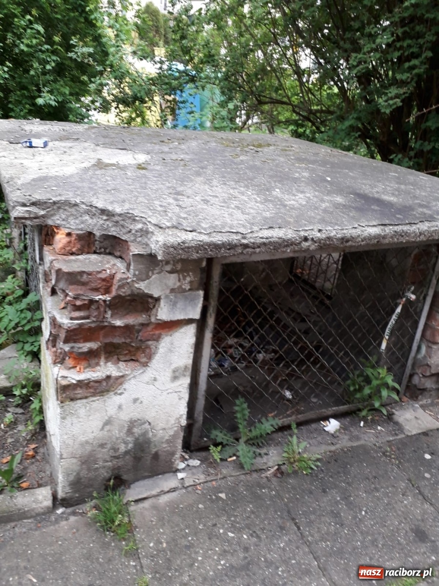 Zdjęcie w galerii na portalu naszraciborz.pl: Po drugiej stronie lustra. Raciborskie podwórka jak z trzeciego świata [FOTO] wiadomości z regionu