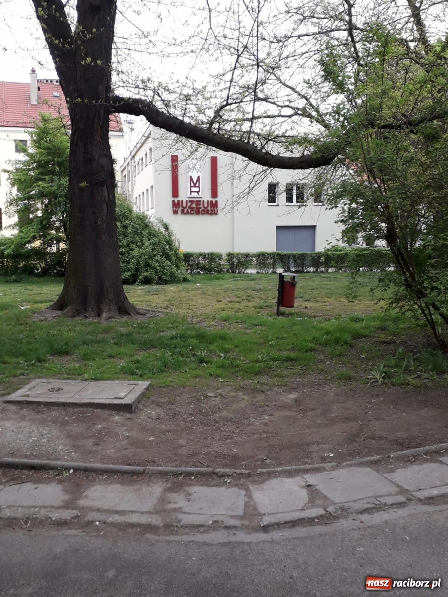 Zdjęcie w galerii na portalu naszraciborz.pl: Po drugiej stronie lustra. Raciborskie podwórka jak z trzeciego świata [FOTO] wiadomości z regionu