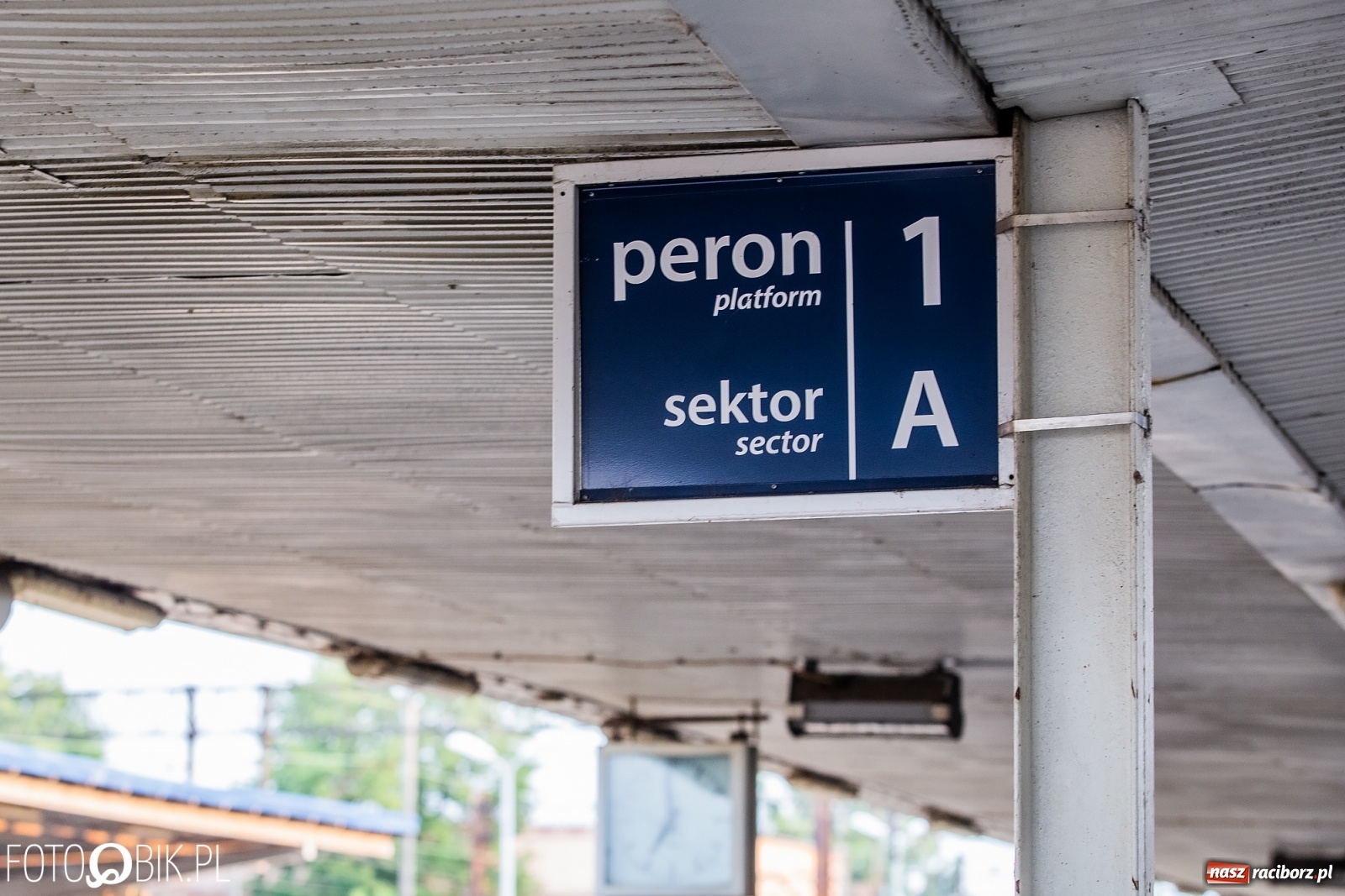 Zdjęcie w galerii na portalu naszraciborz.pl: Zapomniane okno na świat Raciborza [FOTO]  wiadomości z regionu